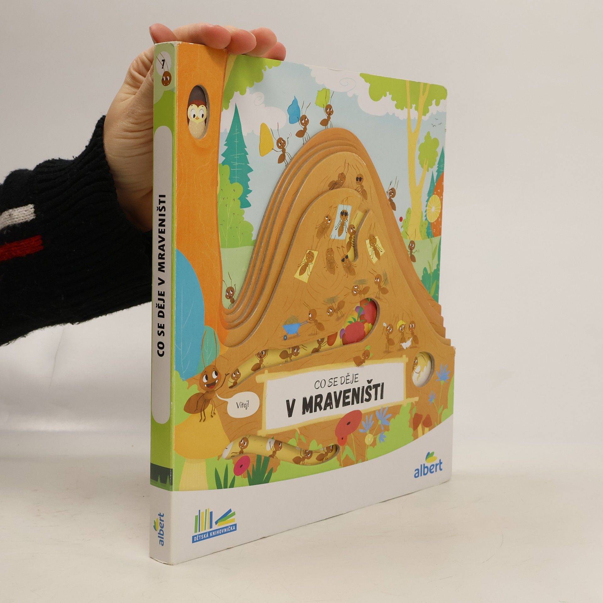 Autorenkollektiv Co se děje v mraveništi