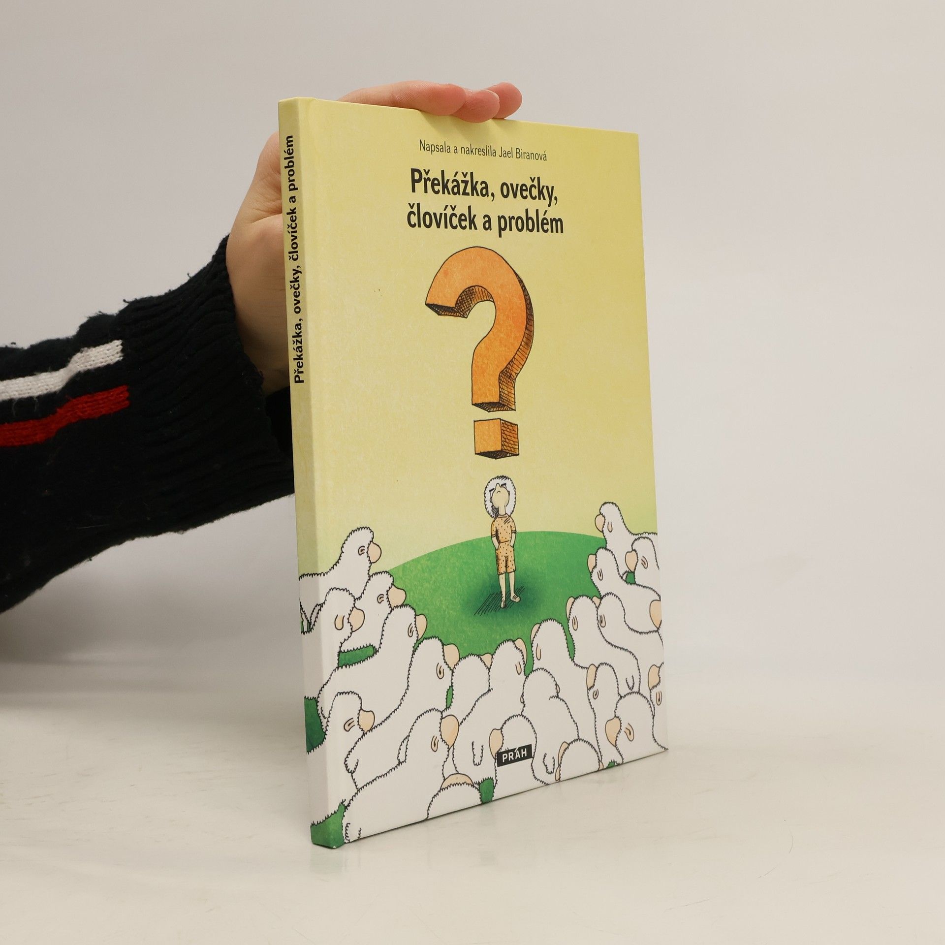 Yael Biran Překážka, ovečky, človíček a problém