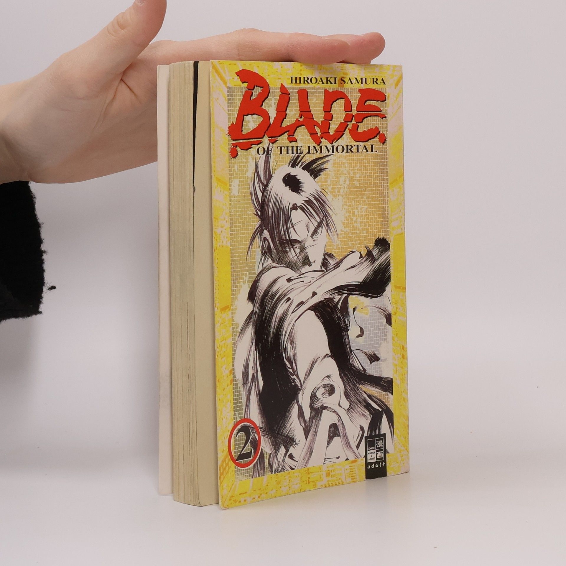 Hiroaki Samura Blade of the immortal 2