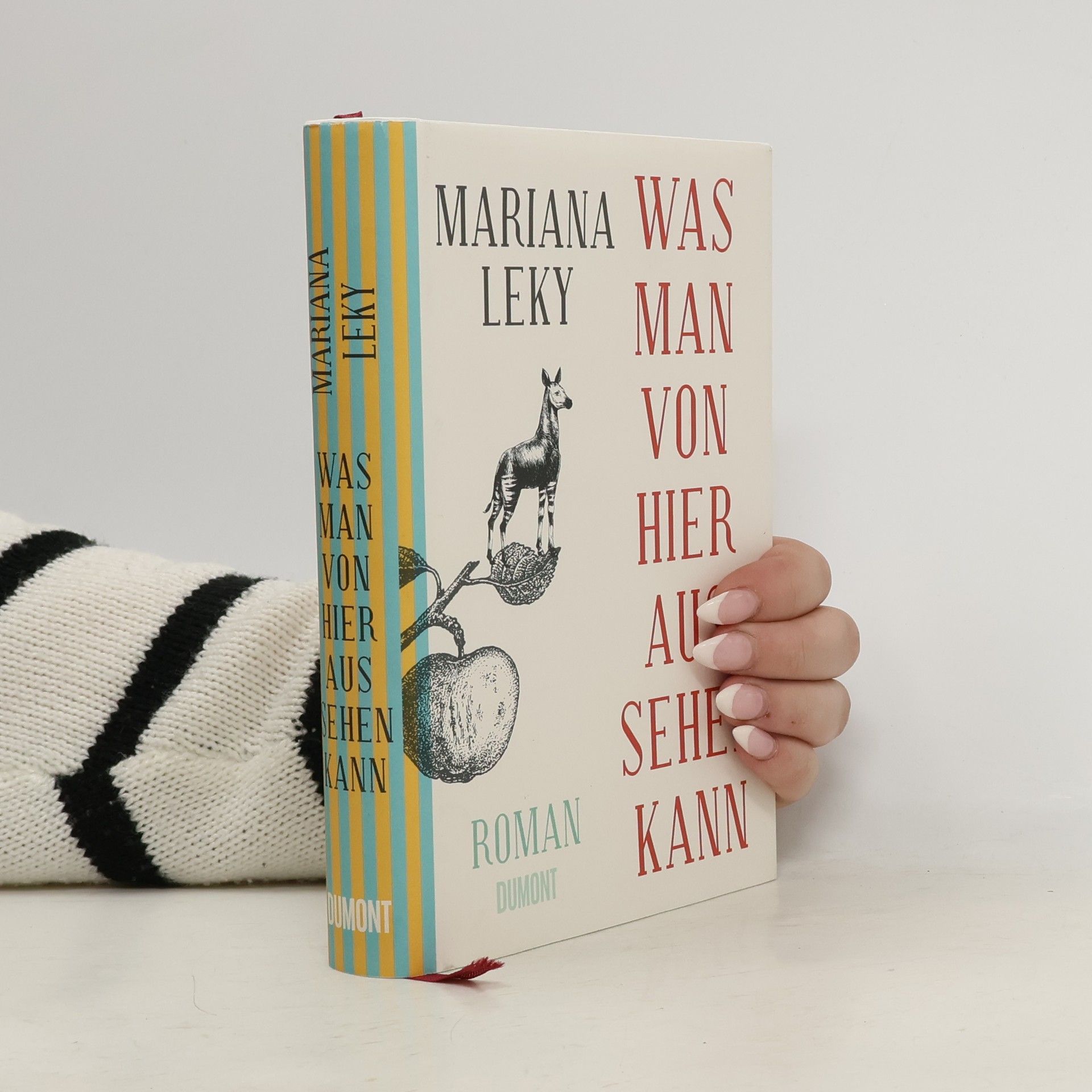 Mariana Leky Was man von hier aus sehen kann