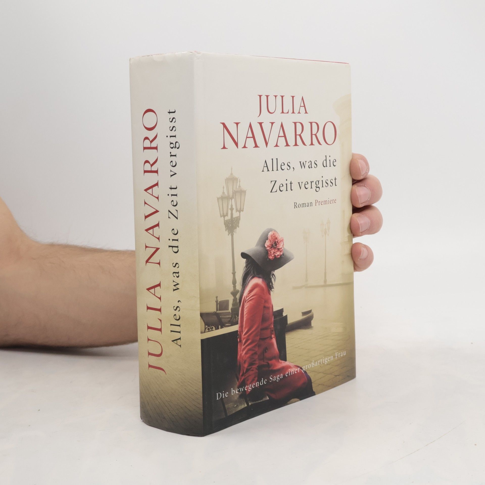 Julia Navarro Alles, was die Zeit vergisst