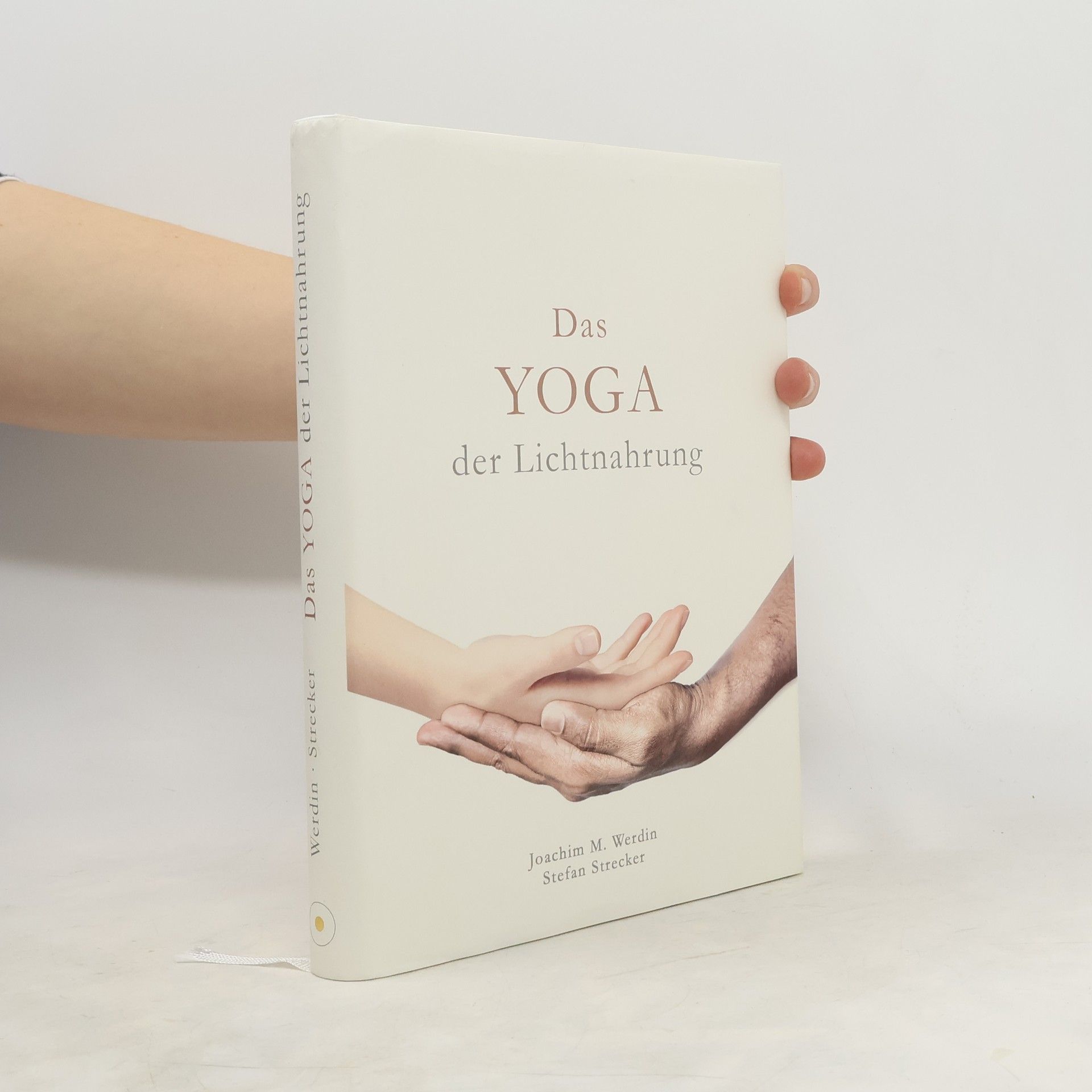Joachim M. Werdin Das Yoga der Lichtnahrung