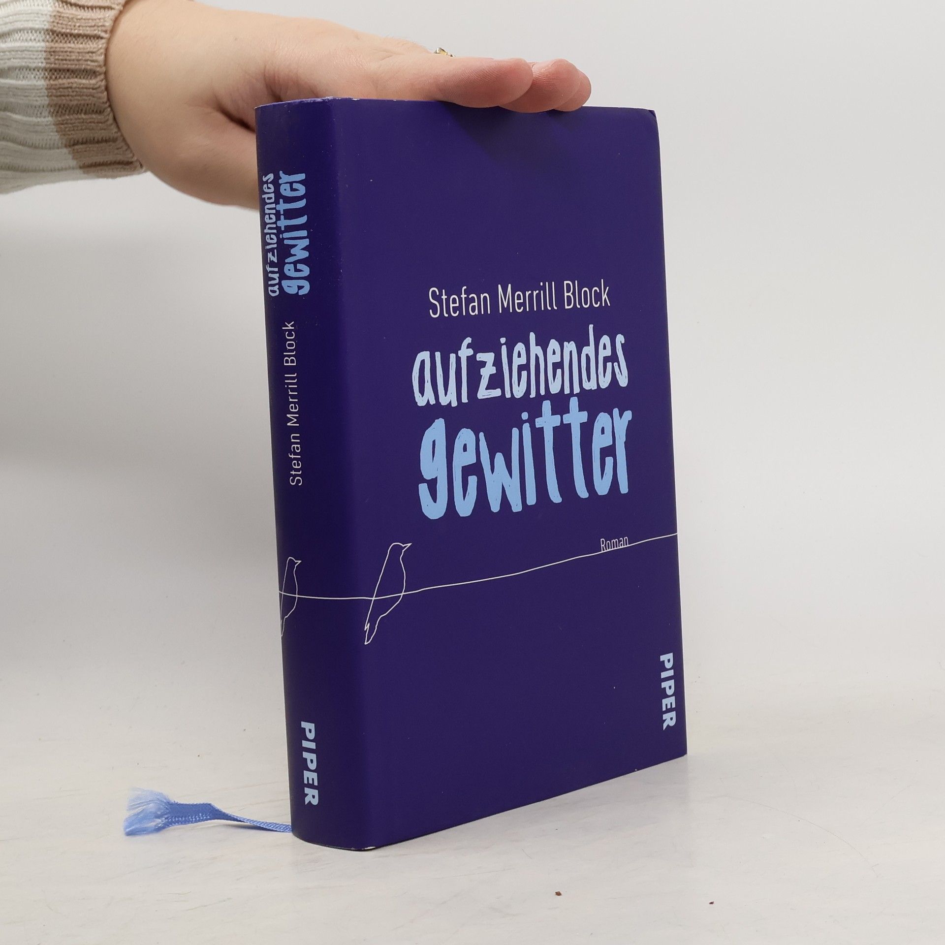 Stefan Merrill Block Aufziehendes Gewitter