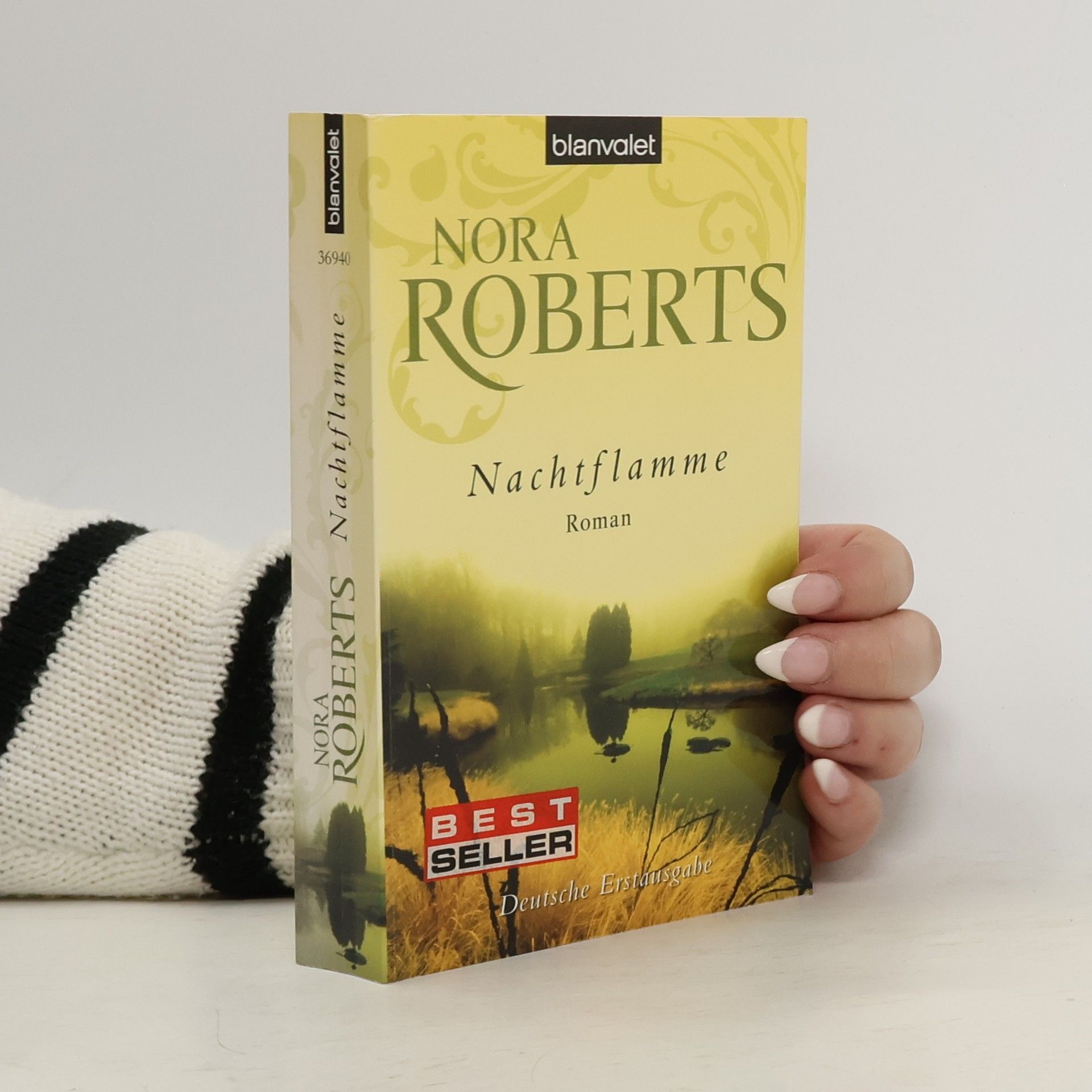 Nora Roberts Nachtflamme