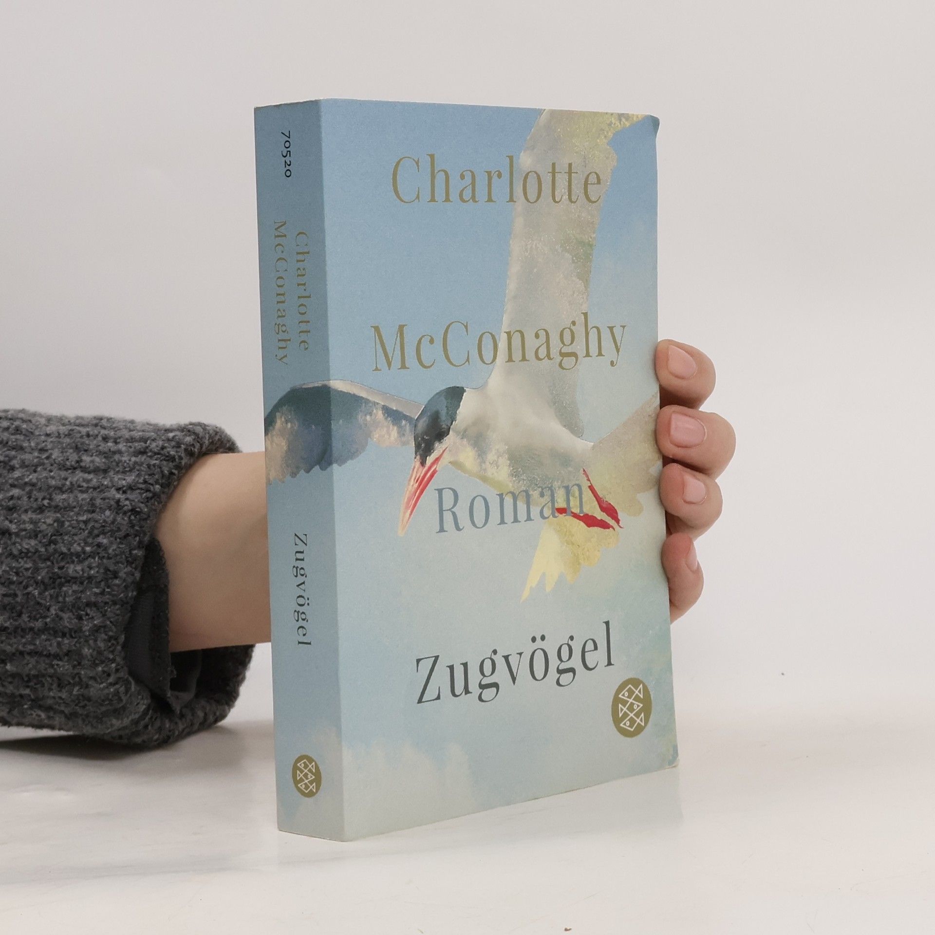 CHARLOTTE. MCCONAGHY Zugvögel
