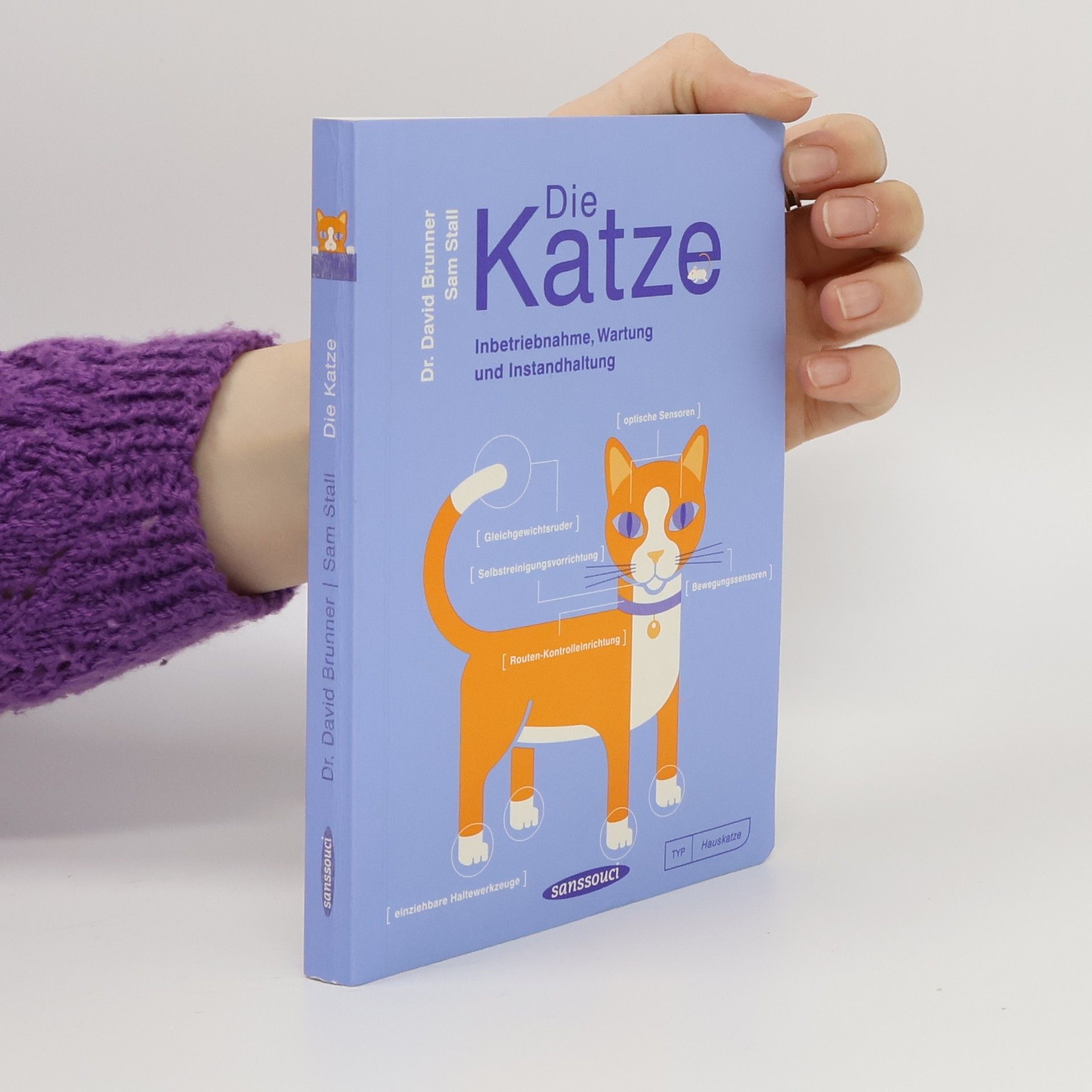 David Brunner Die Katze