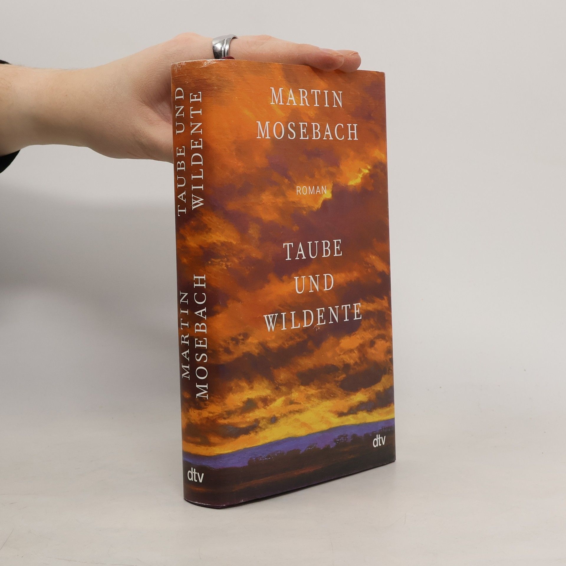 Martin Mosebach Taube und Wildente