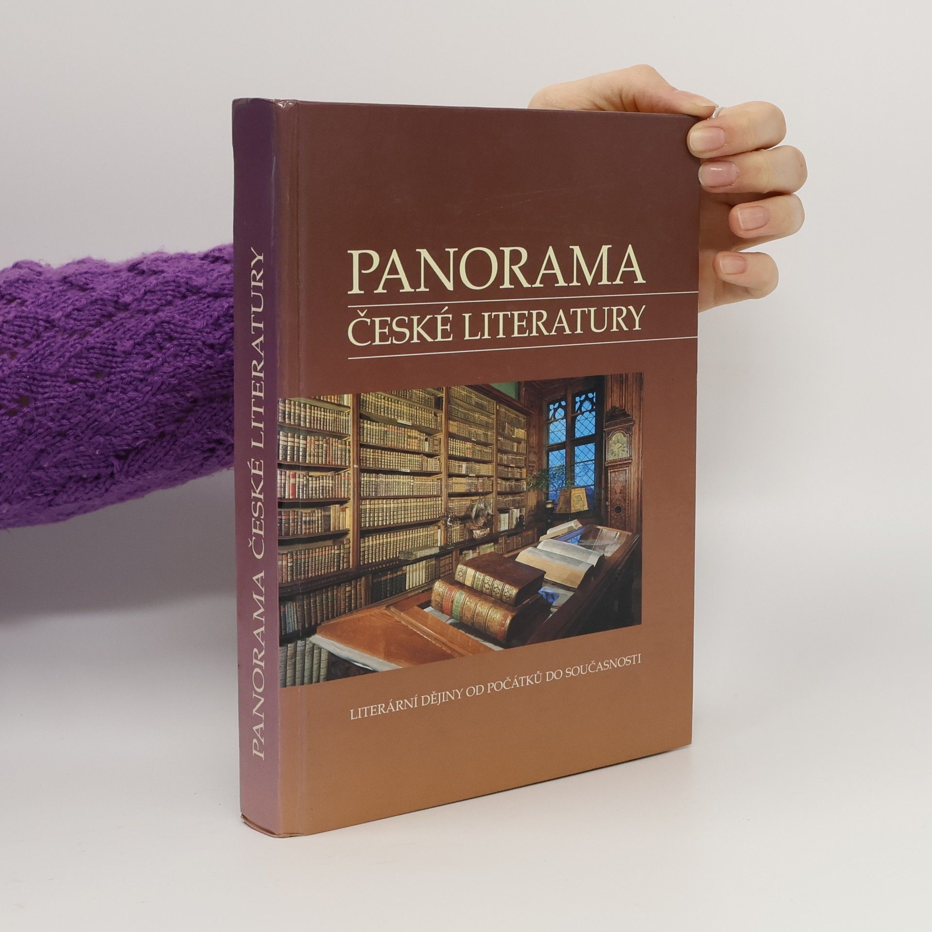 Kolektiv autorů Panorama české literatury. Literární dějiny od počátků do současnosti