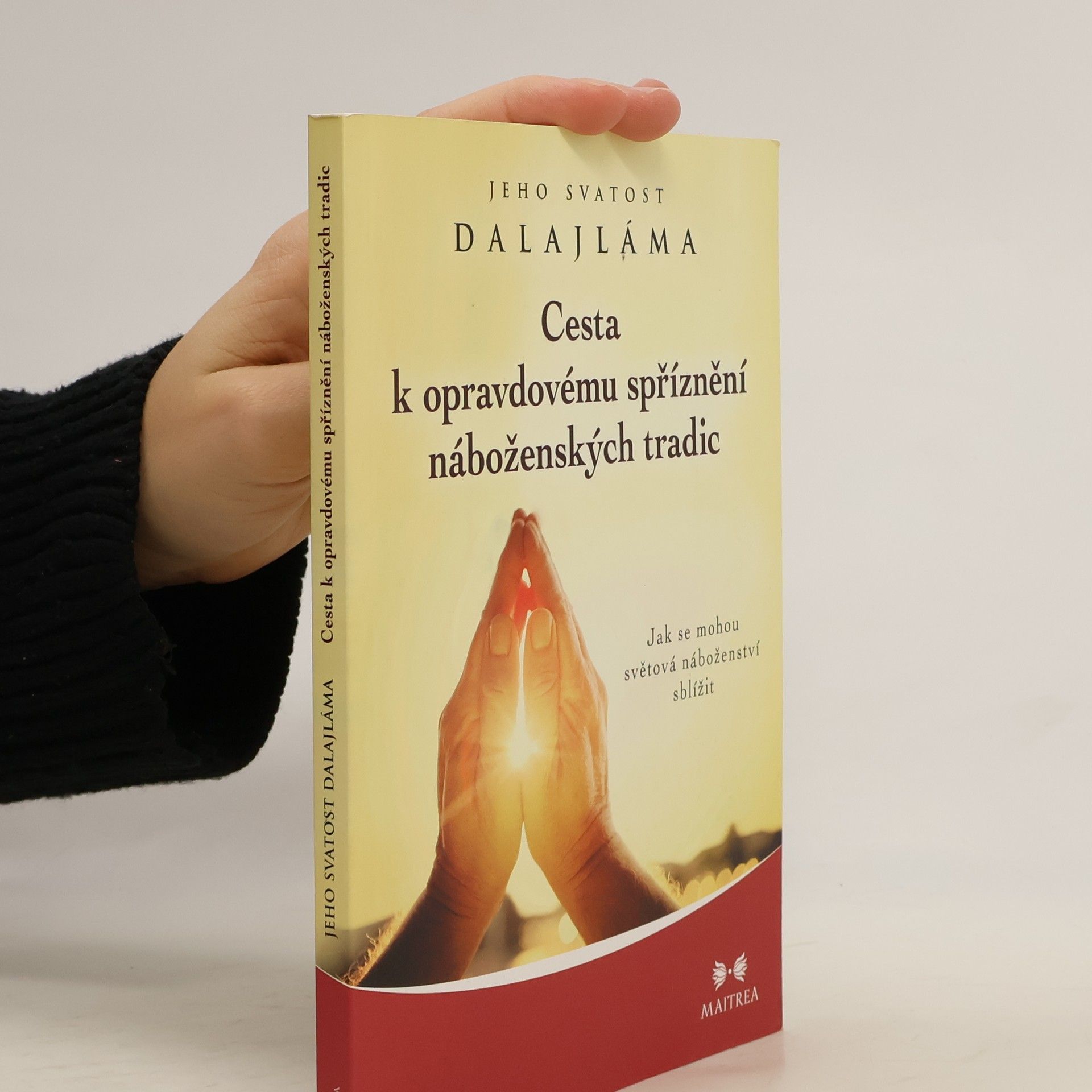 Jeho svatost Dalajlama XIV. Cesta k opravdovému spříznění náboženských tradic