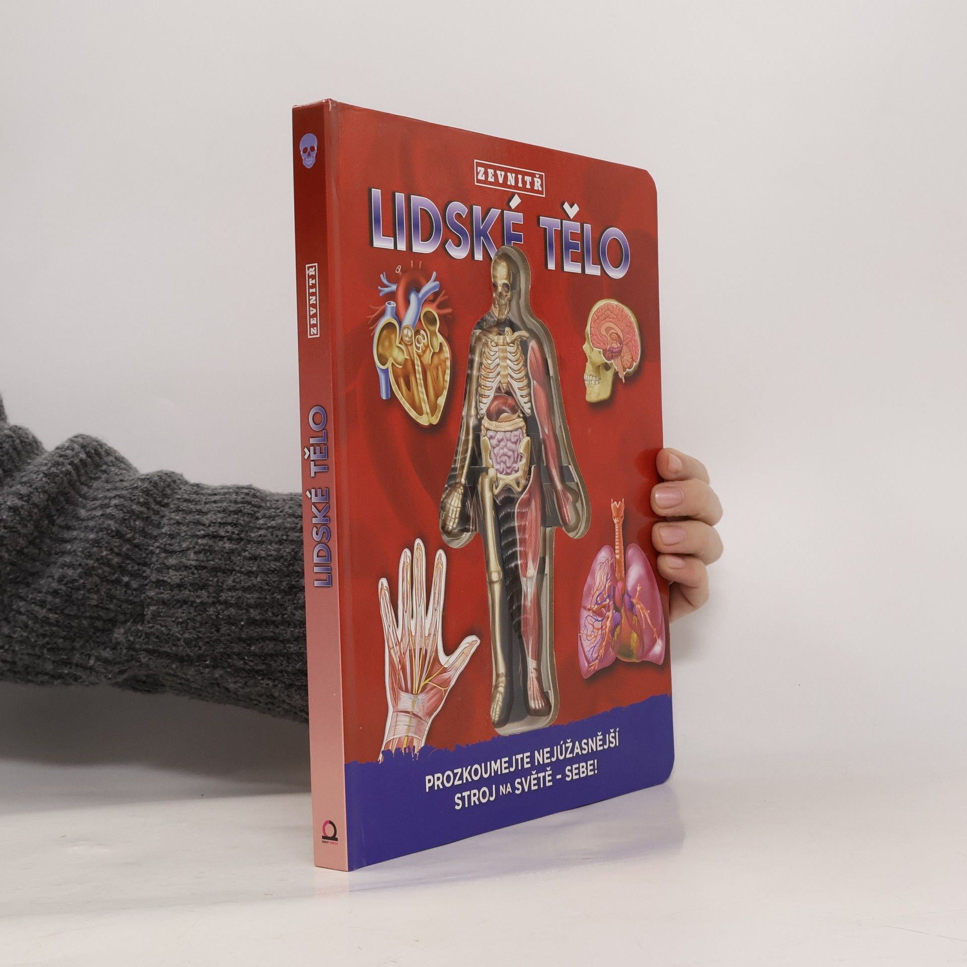 Lidské tělo zevnitř