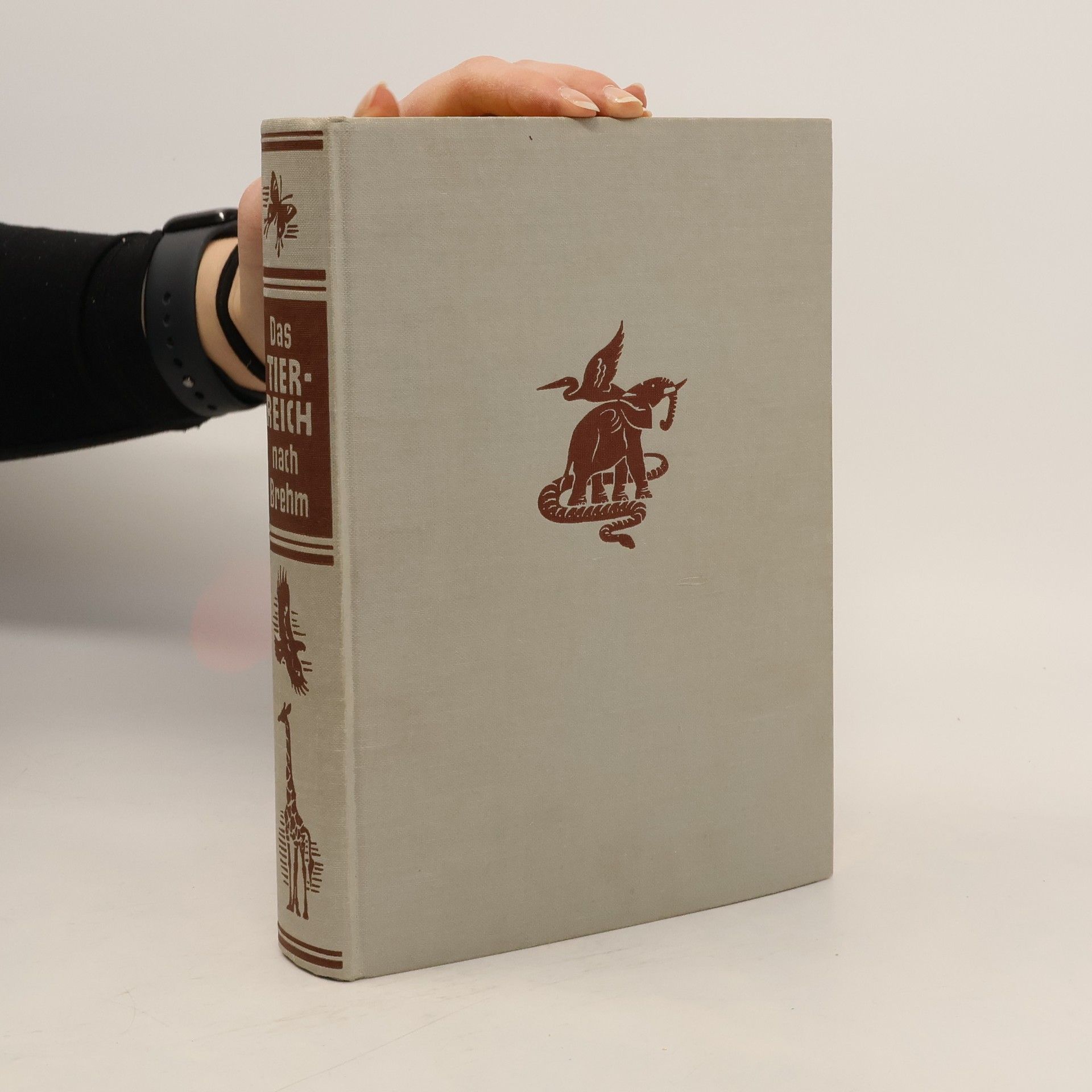 Das Tierreich nach Brehm