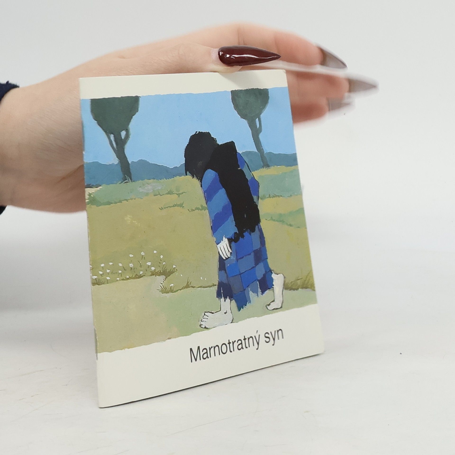 Collectif d'auteurs Marnotratný syn