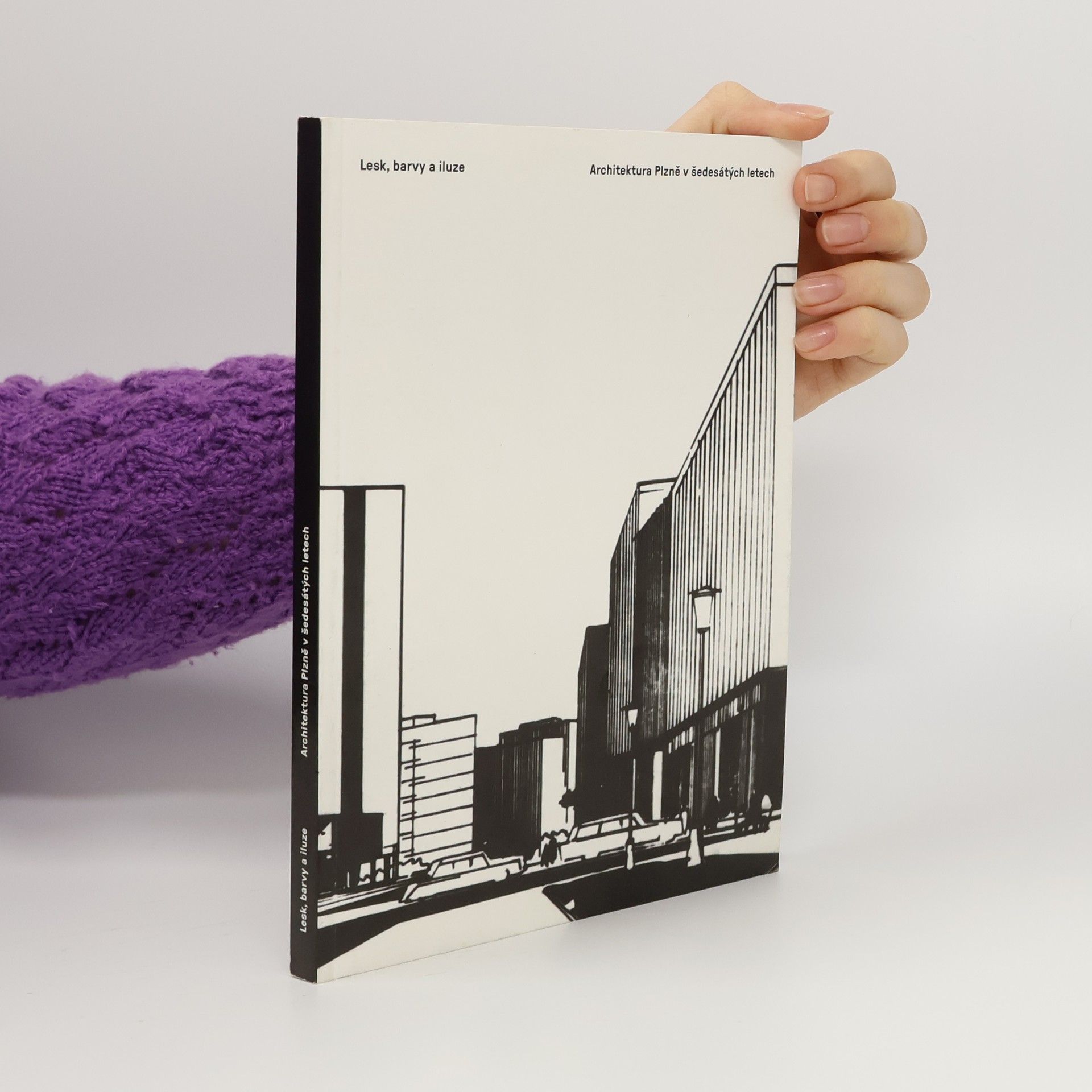 Kolektív autorov Lesk, barvy a iluze. Architektura Plzně v šedesátých letech
