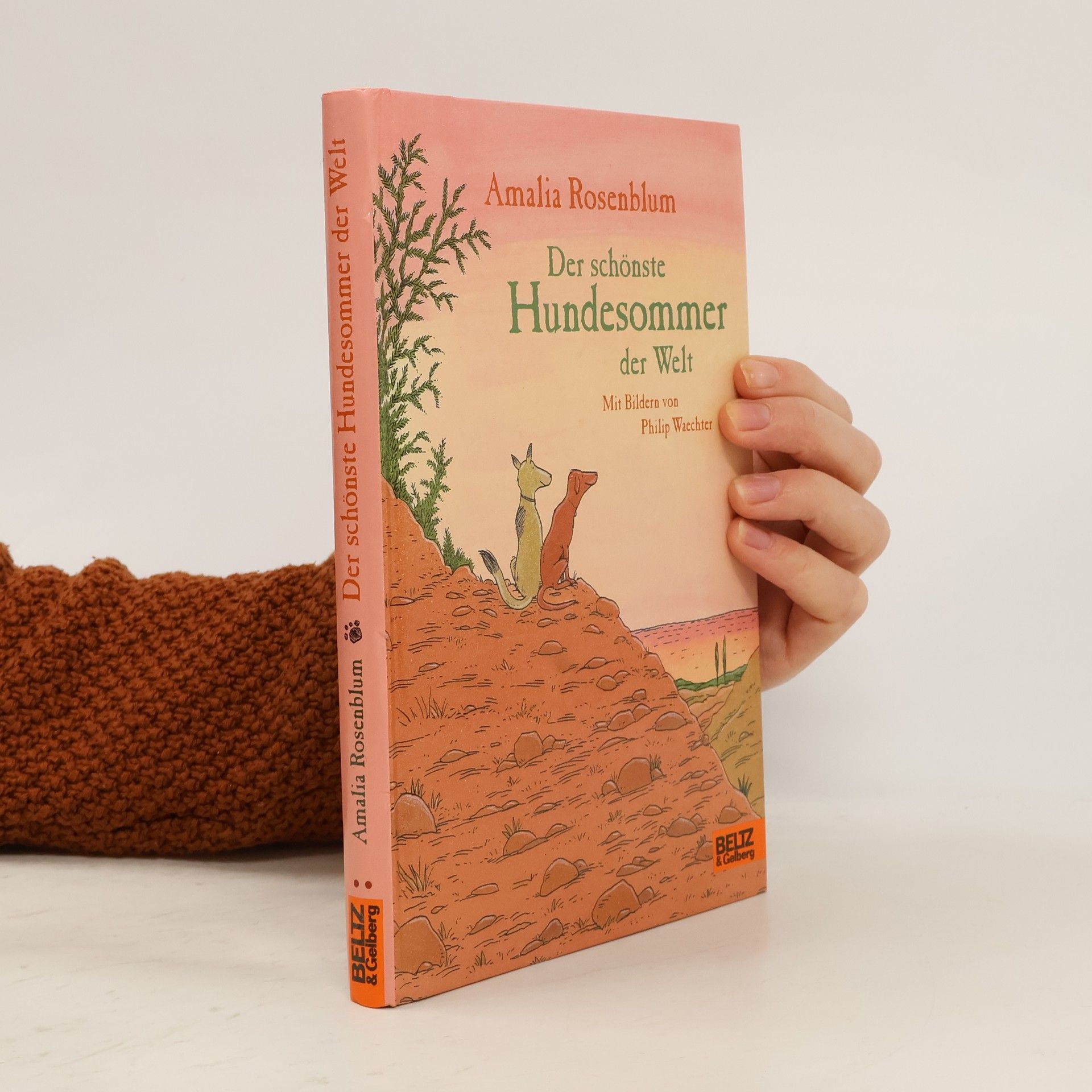 Der schönste Hundesommer der Welt