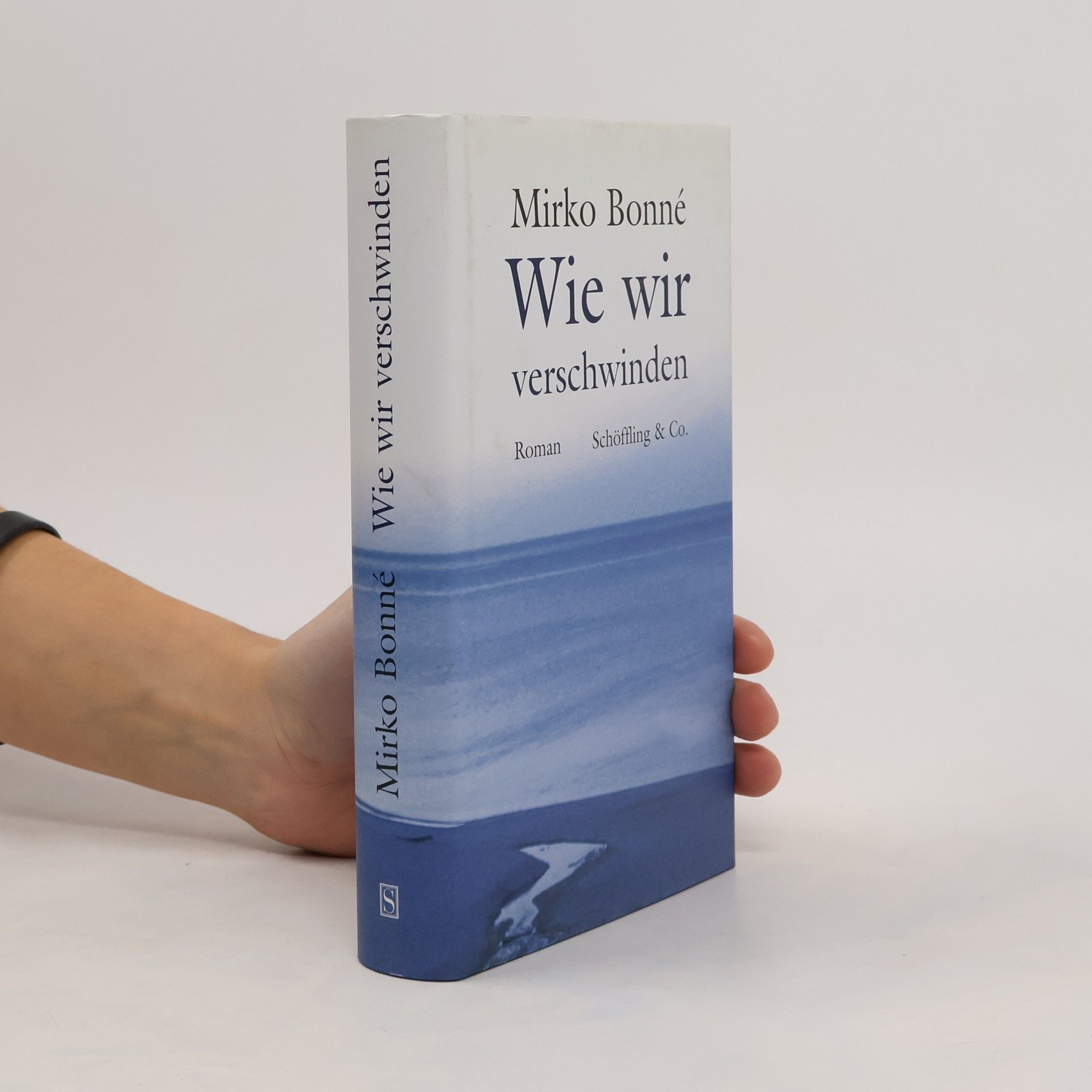 Wie wir verschwinden