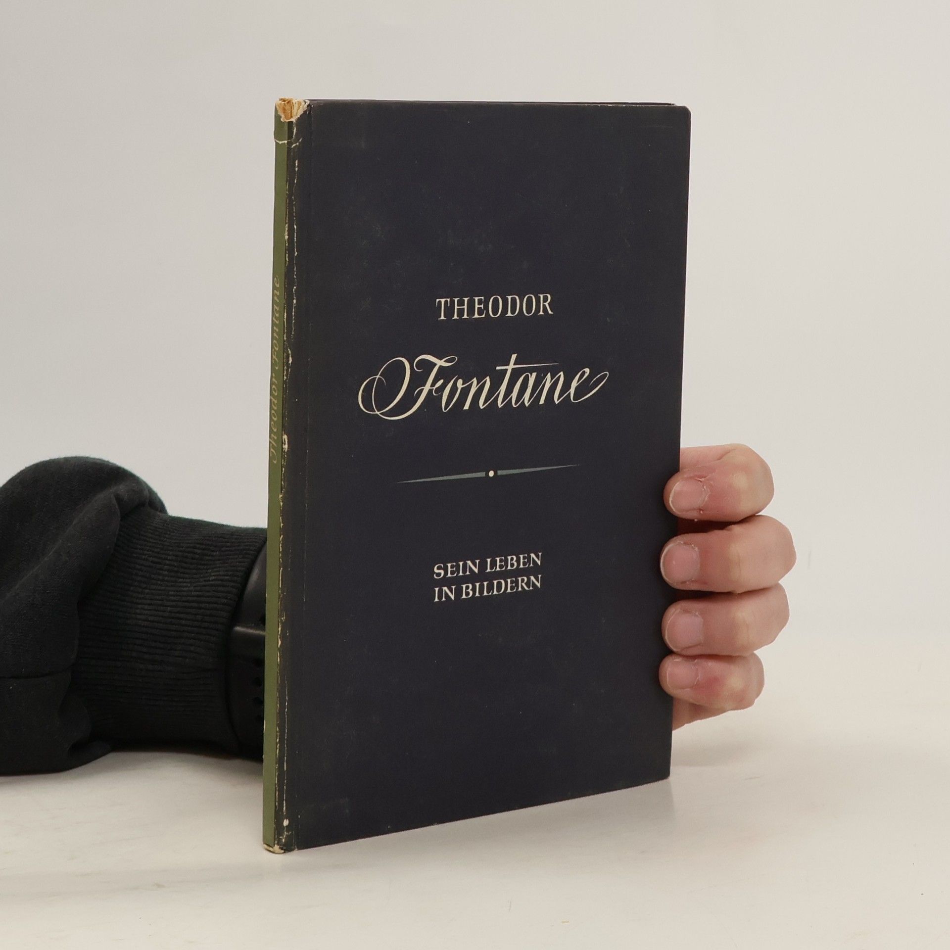 Theodor Fontane : Sein Leben in Bildern