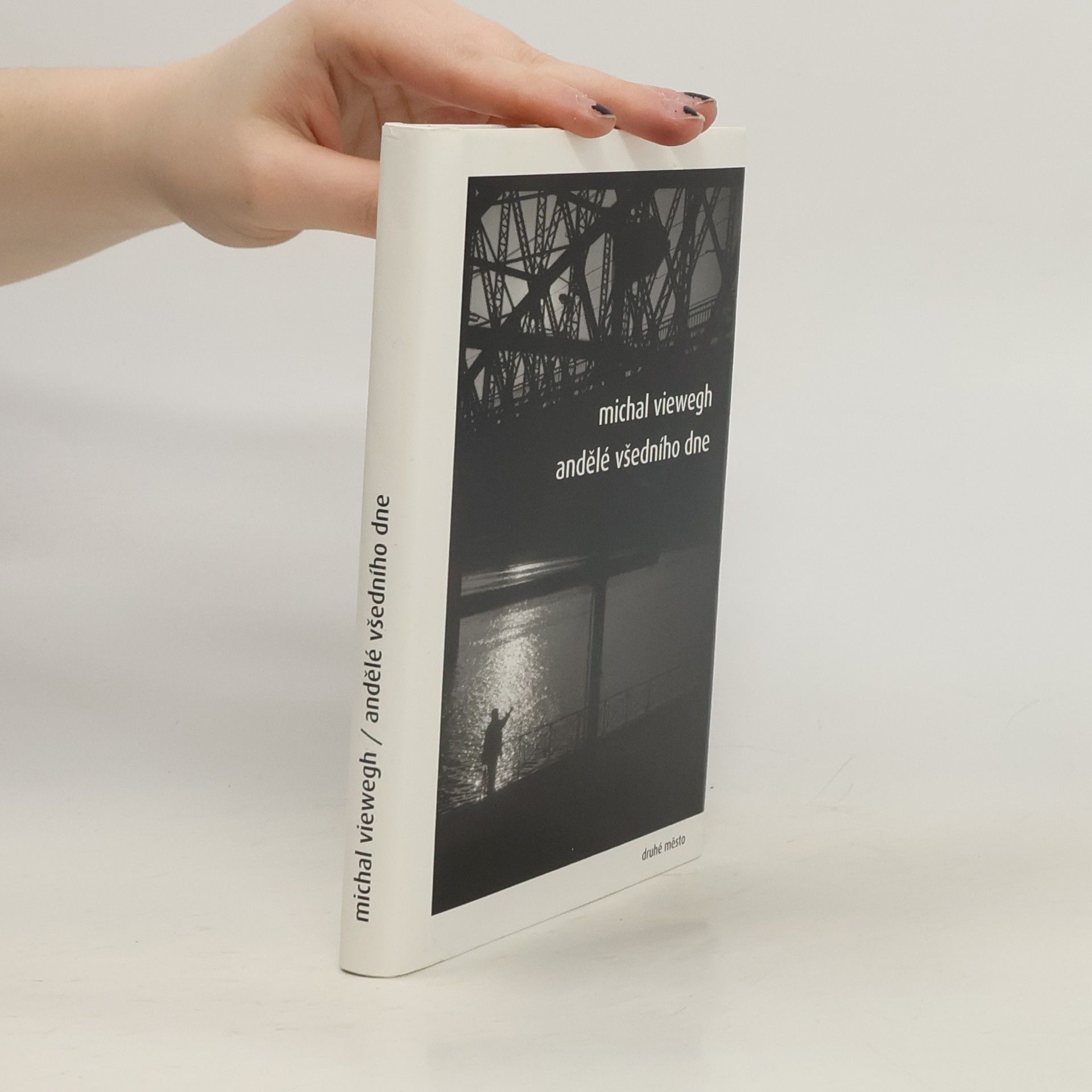Michal Viewegh Andělé všedního dne