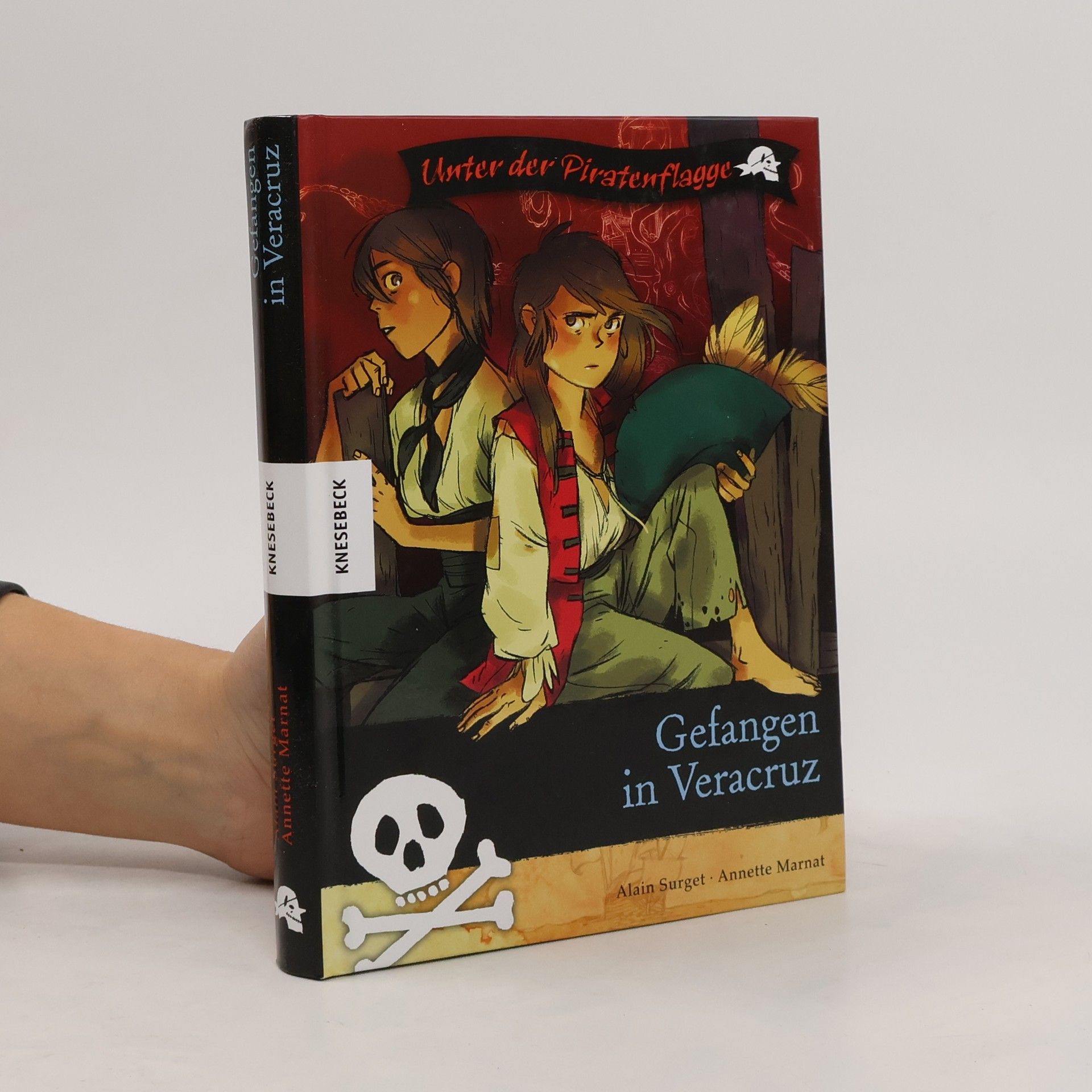 Alain Surget Gefangen in Veracruz