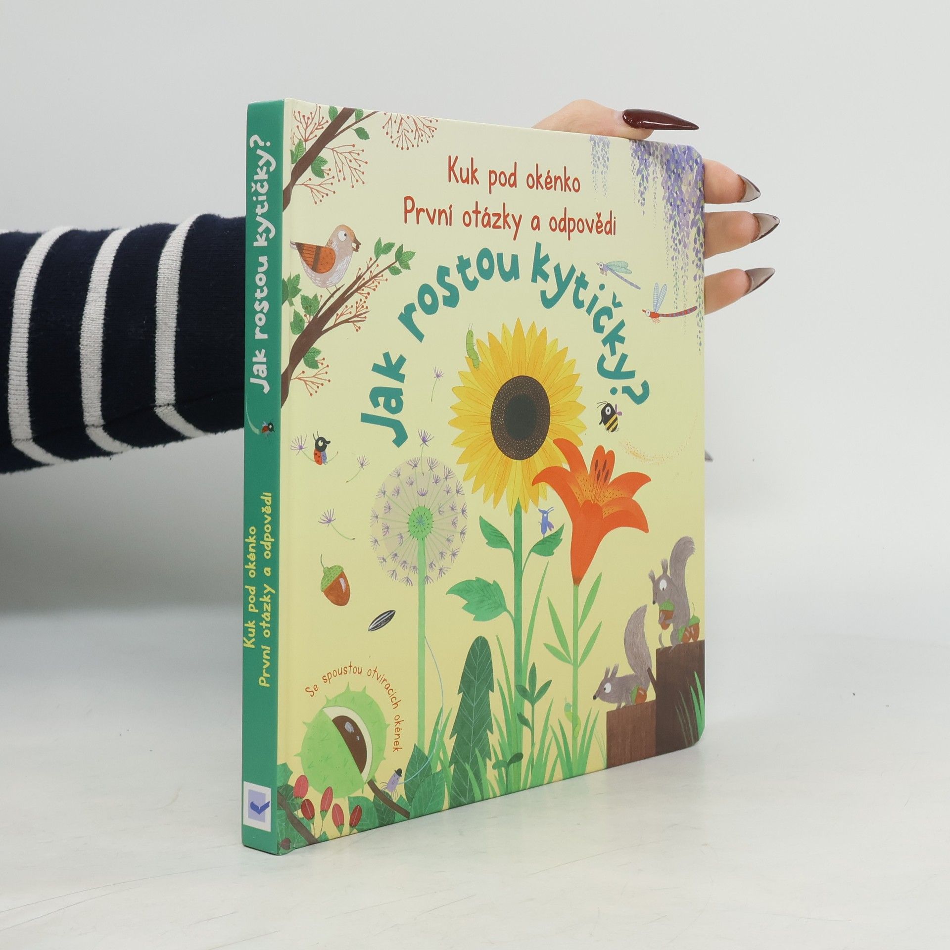 Daynes Katie. Jak rostou kytičky?