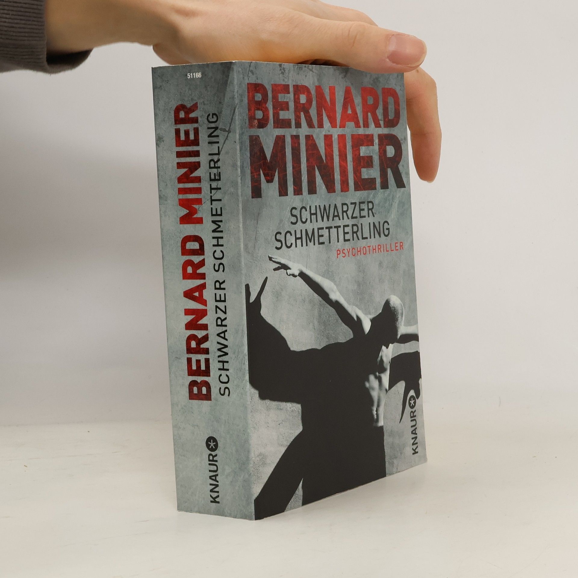 Bernard Minier Schwarzer Schmetterling