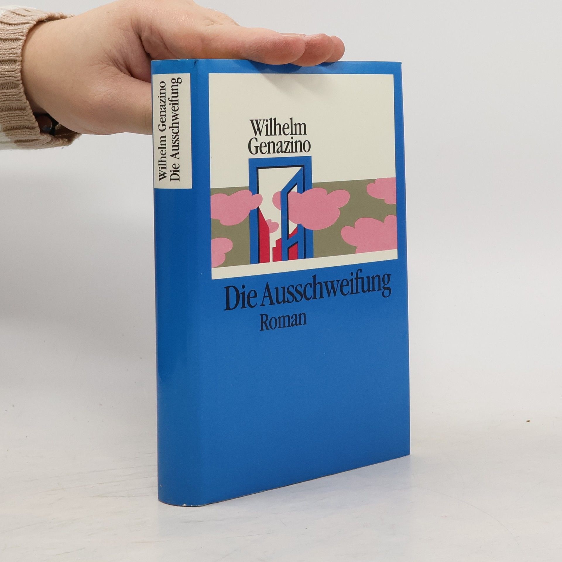 Wilhelm Ganazino Die Ausschweifung