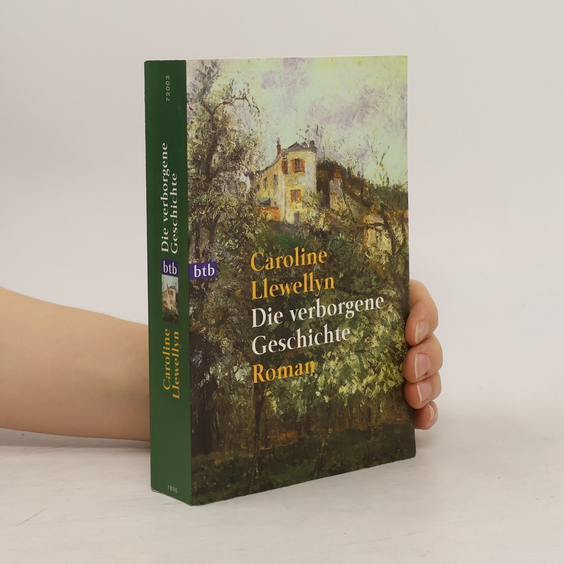 Caroline Llewellyn Die verborgene Deschichte