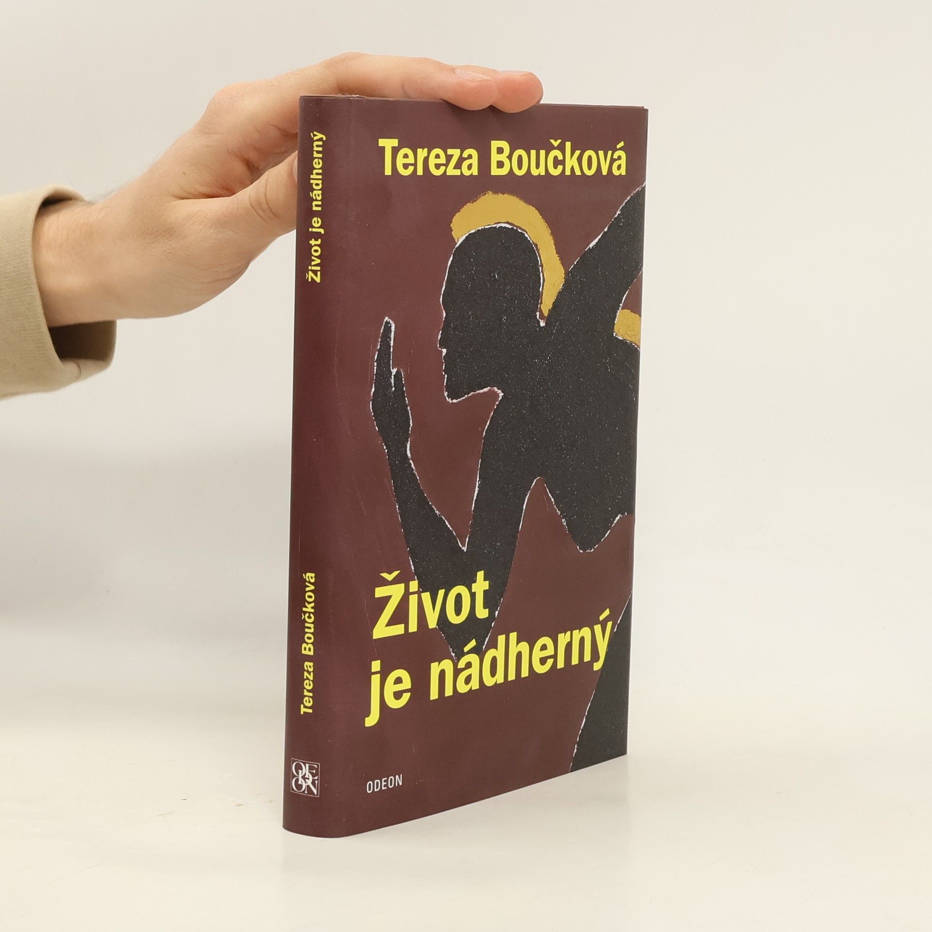 Tereza Boučková Život je nádherný