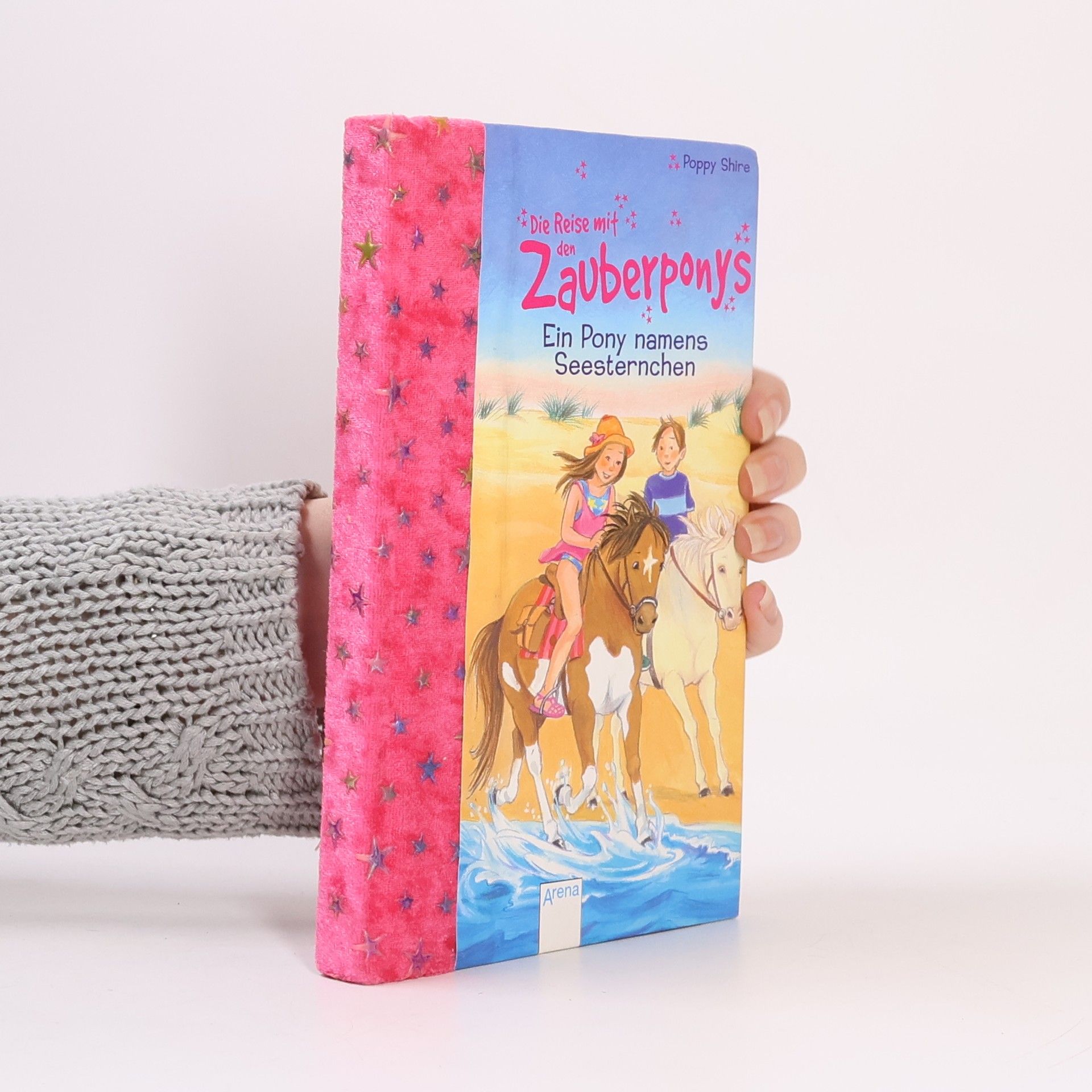 Eva Hierteis Die Reise mit den Zauberponys