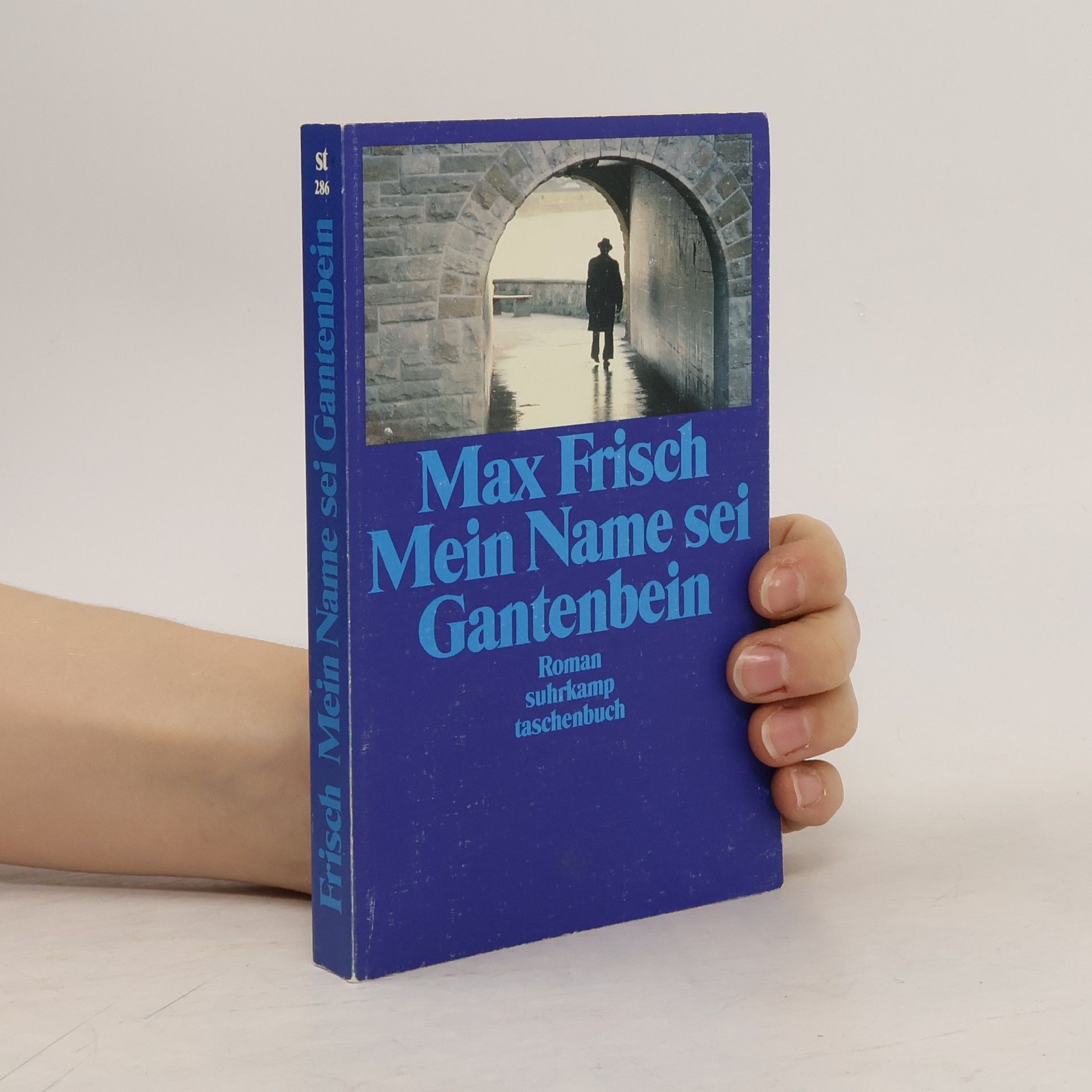 Max Frisch Mein Name sei Gantenbein