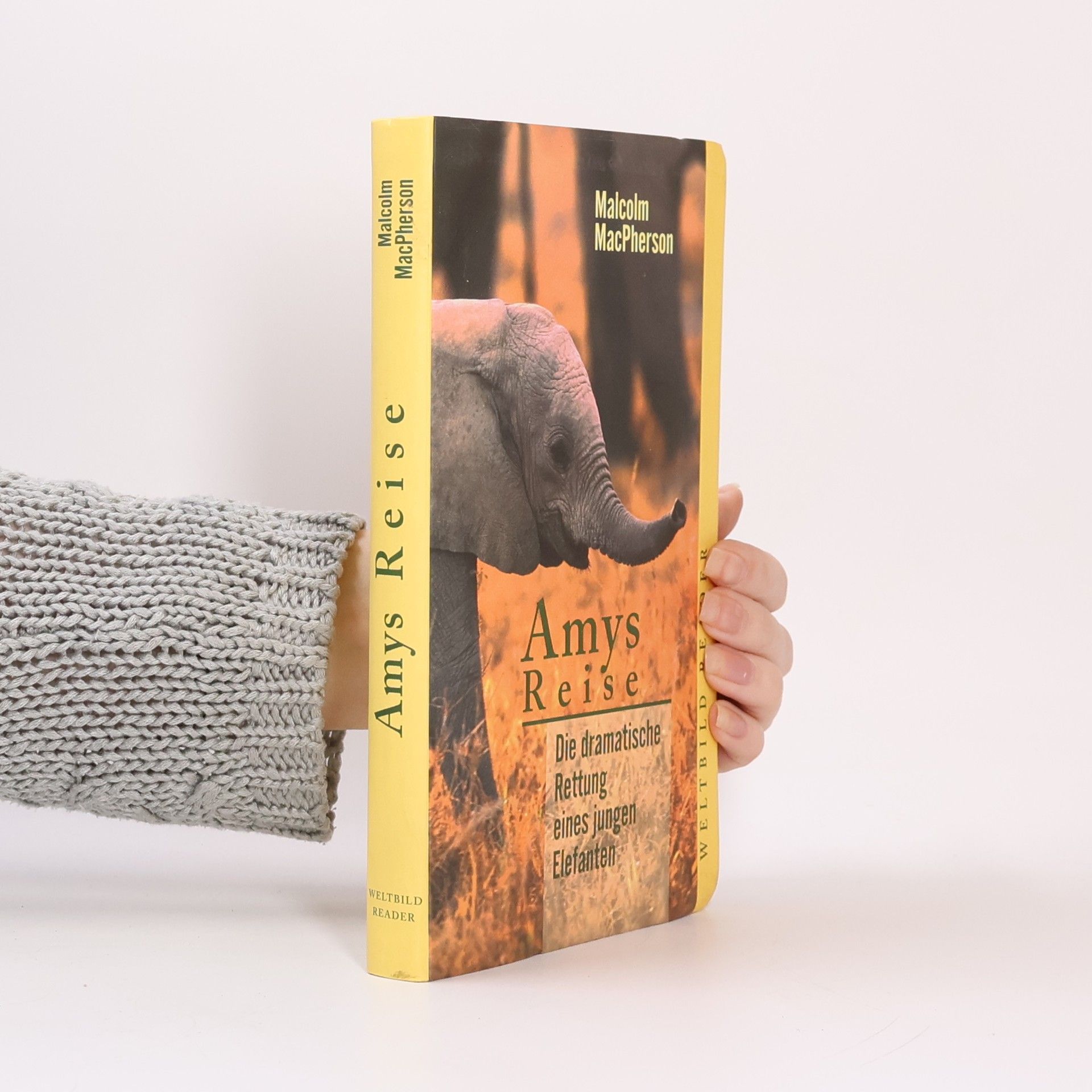 Malcolm MacPherson Amys Reise