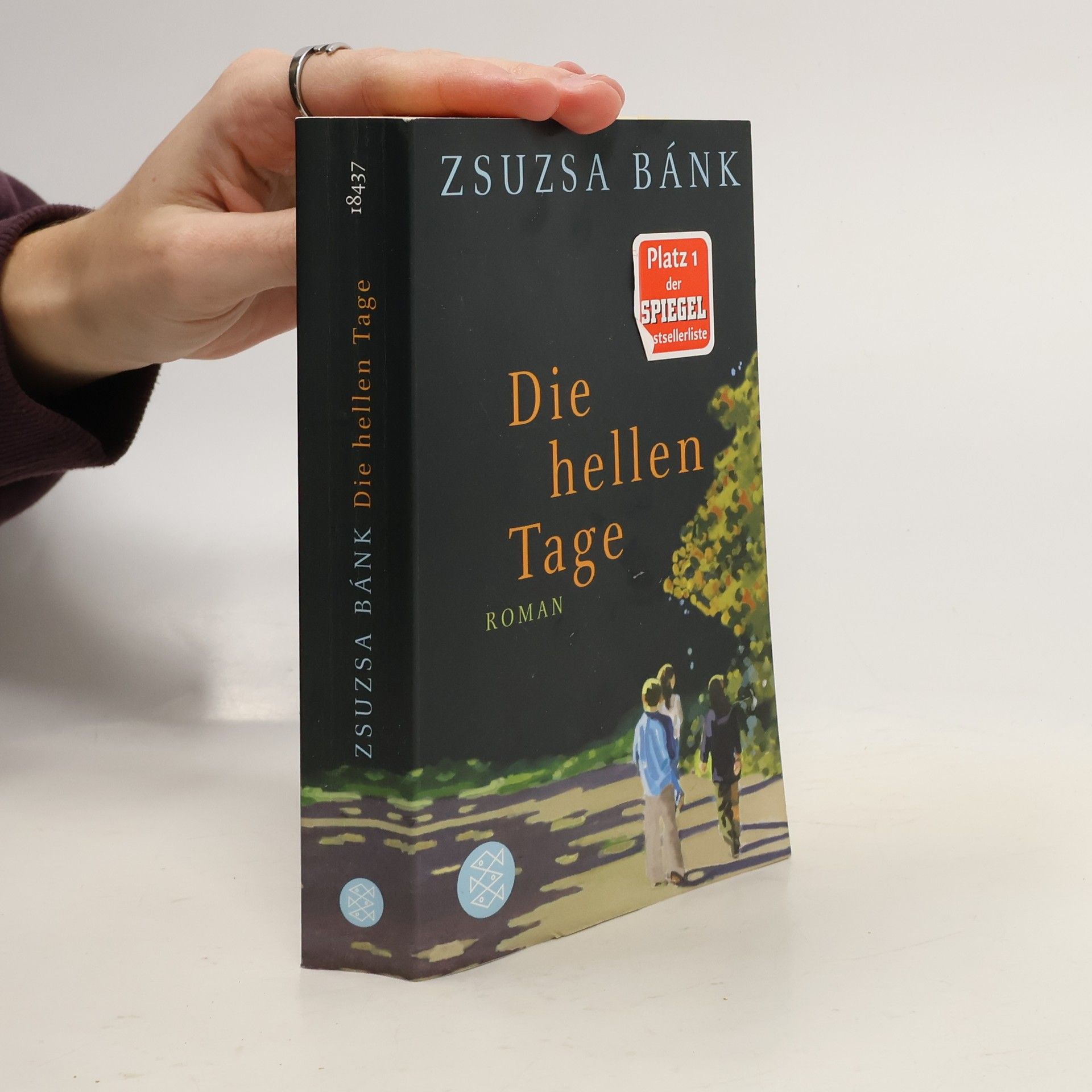 Zsuzsa Bánk Die hellen Tage