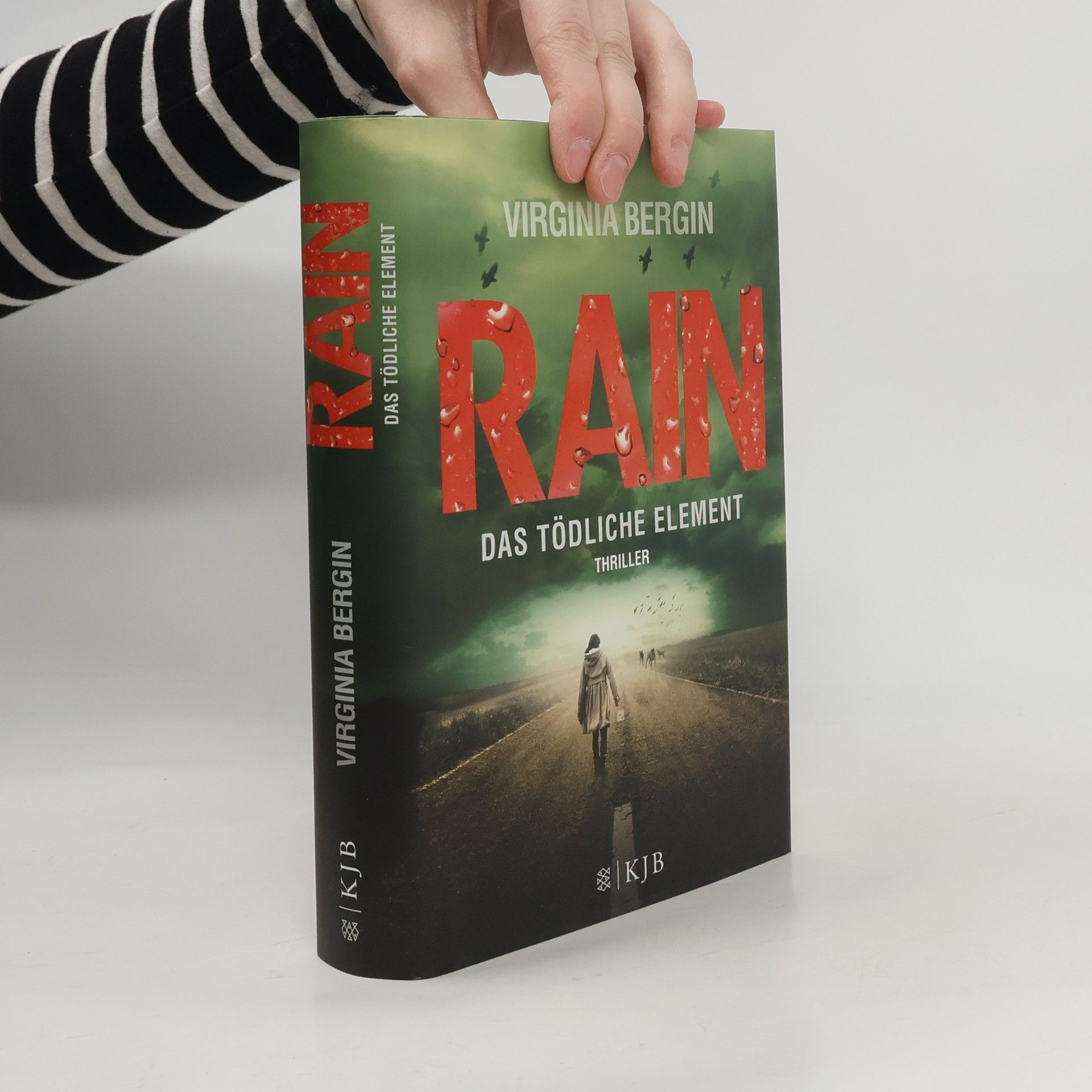 Virginia Bergin Rain - das tödliche Element