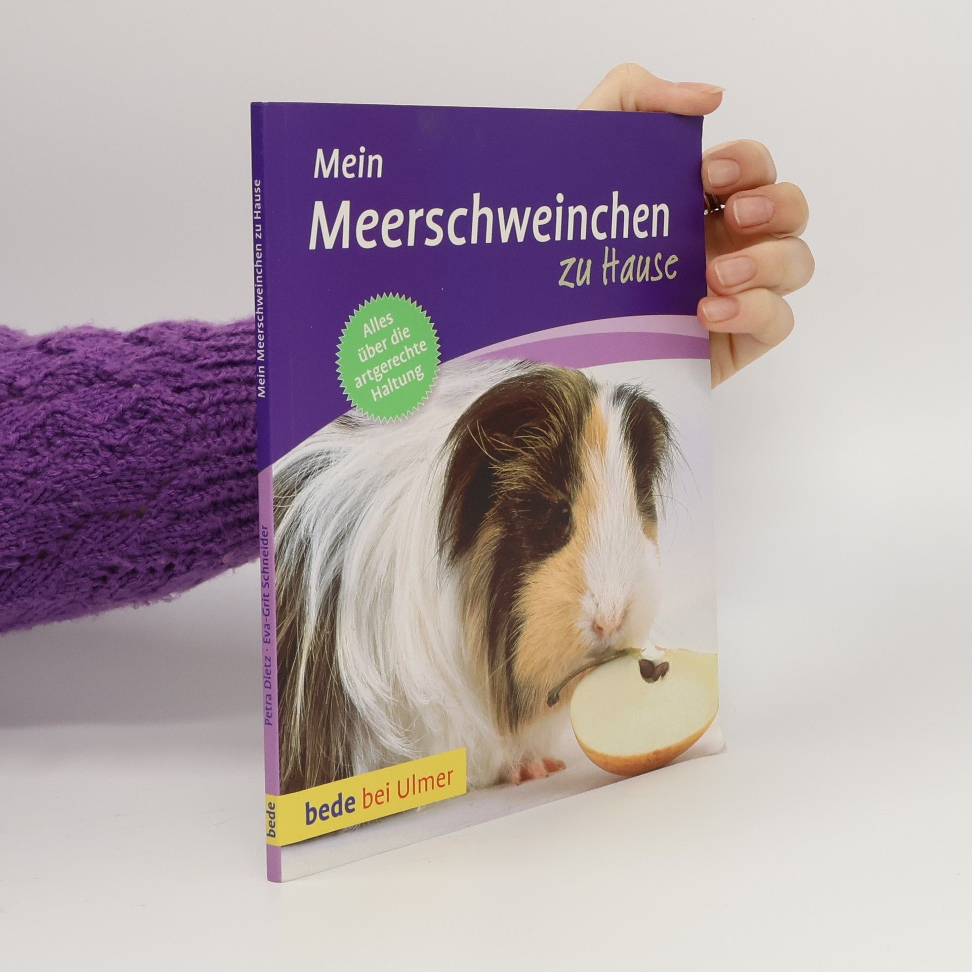 Mein Meerschweinchen zu Hause