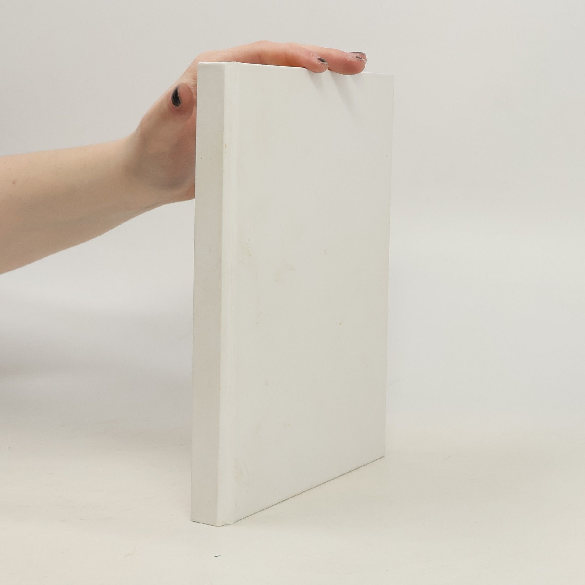 Jan Bauer Ježíš : tajemný muž z Betléma: Lže autor Šifry mistra Leonarda?