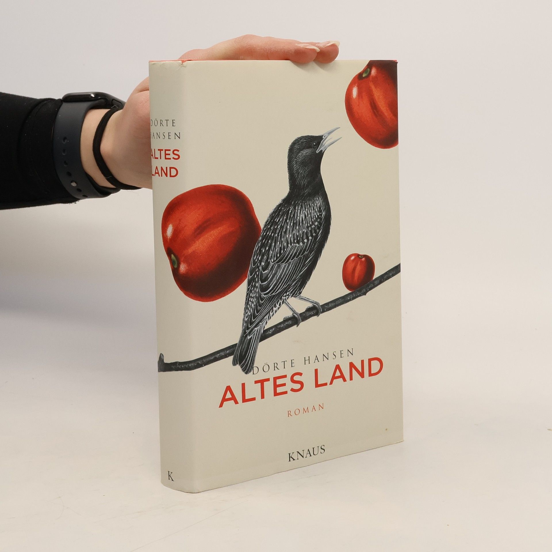 Dörte Hansen Altes Land