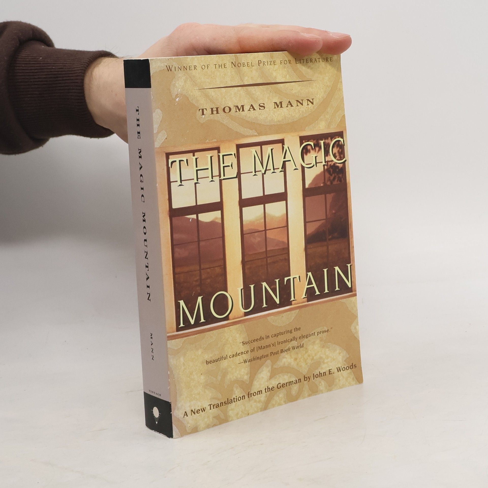 Thomas Mann The Magic Mountain