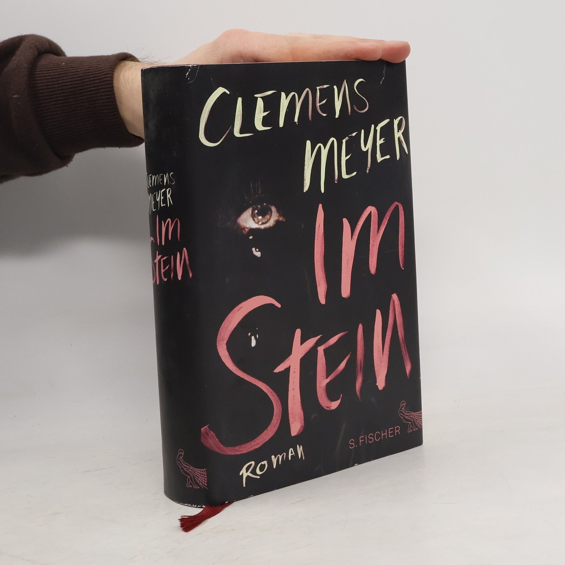 Clemens Meyer Im Stein