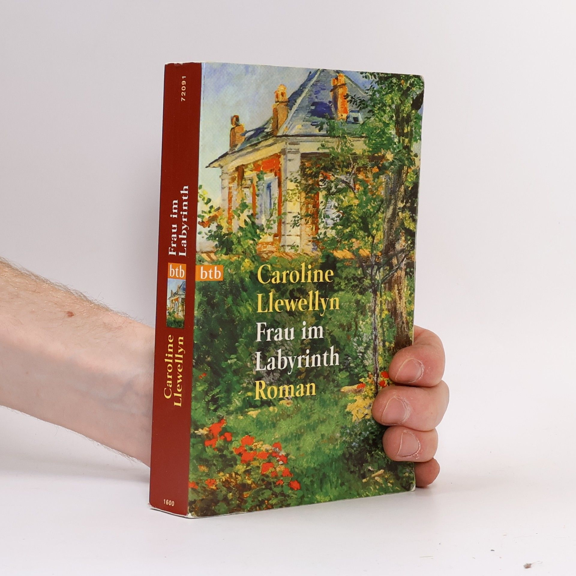 Caroline Llewellyn Frau im Labyrinth