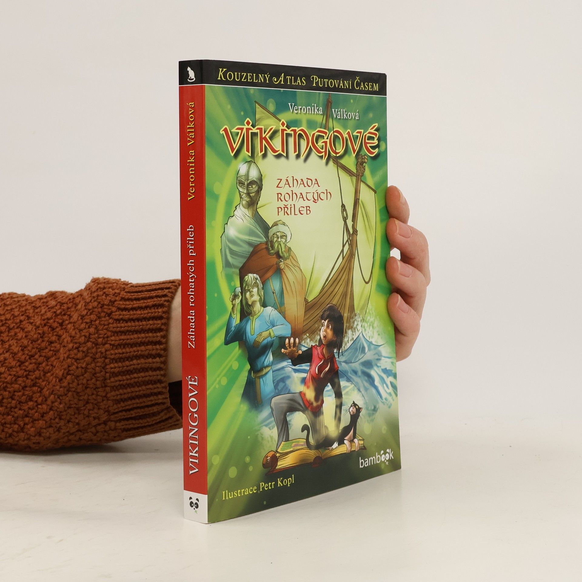 Veronika Válková Vikingové : záhada rohatých přileb