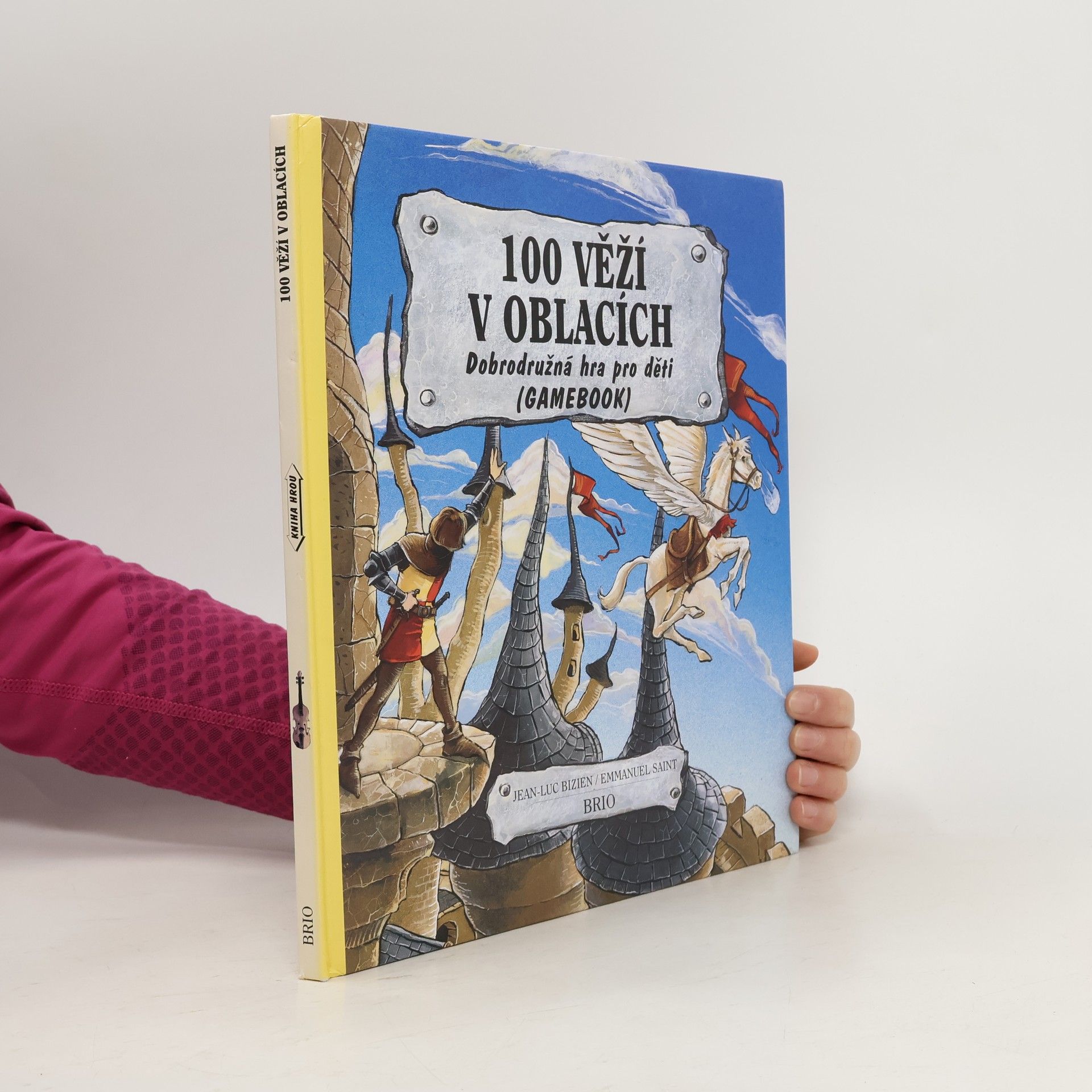 Jean Luc Bizien 100 věží v oblacích