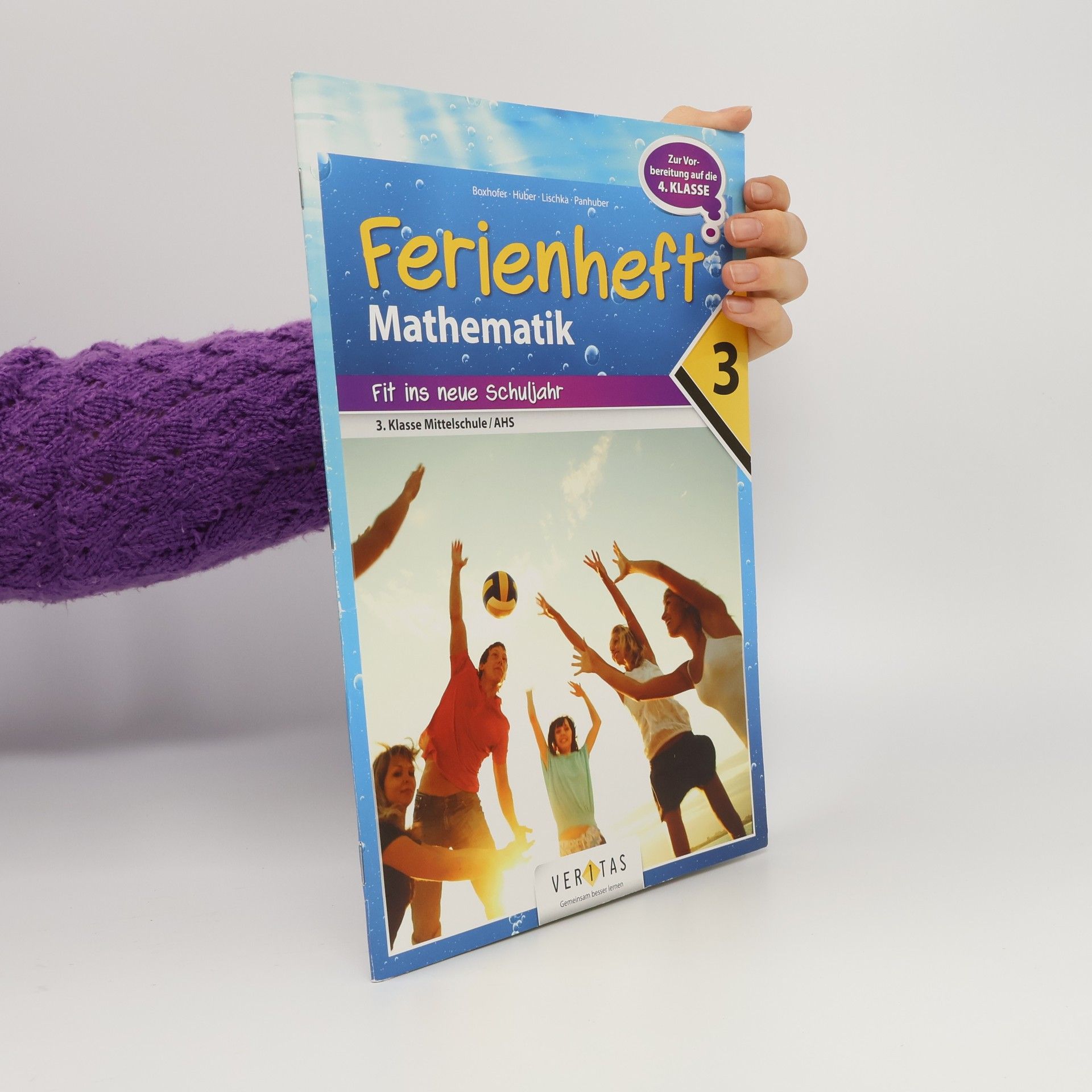 Emmerich Boxhofer Ferienheft Mathematik 3. Klasse