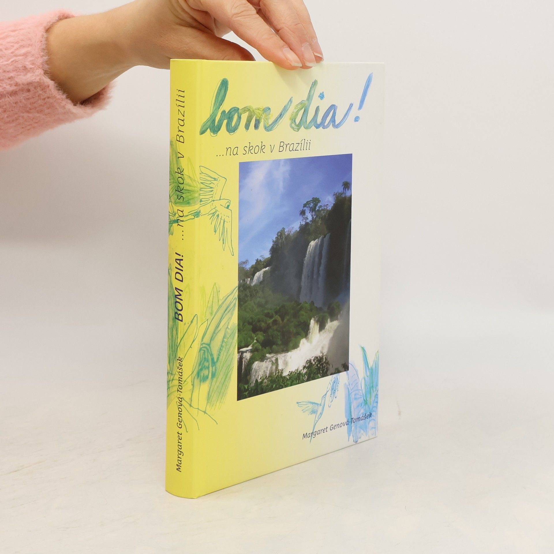 Bom dia! ... na skok v Brazílii