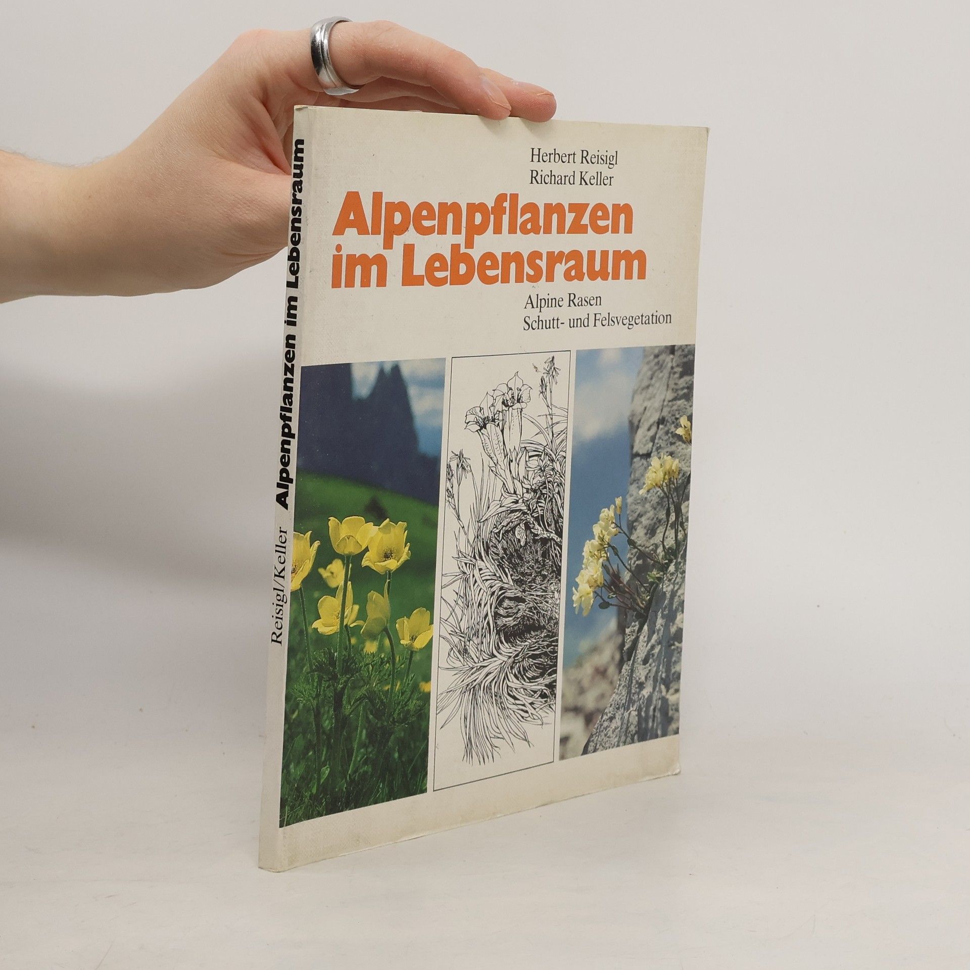 Herbert Reisigl Alpenpflanzen im Lebensraum