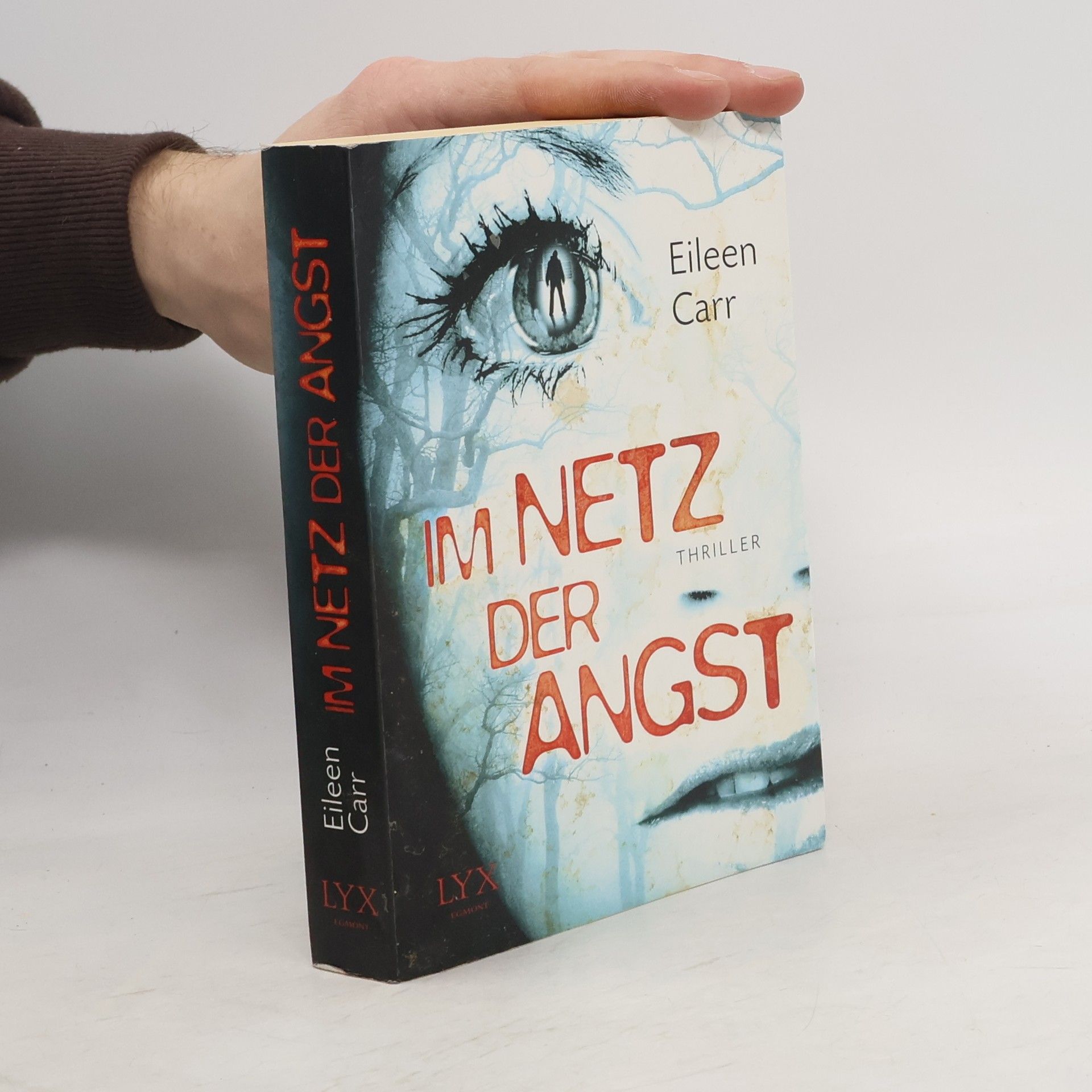 Eileen Carr Im Netz der Angst