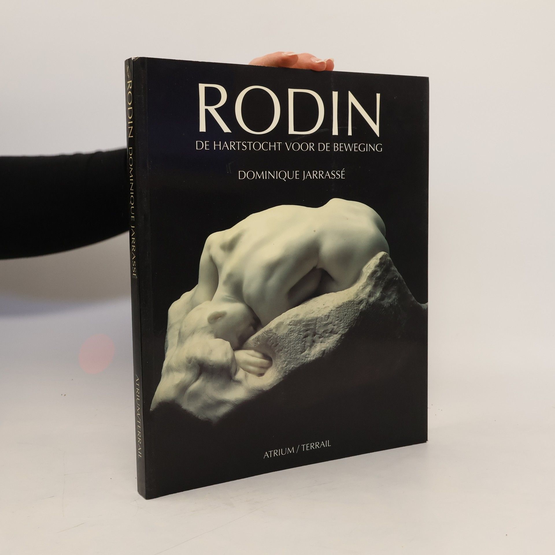 Dominique Jarrassé Rodin