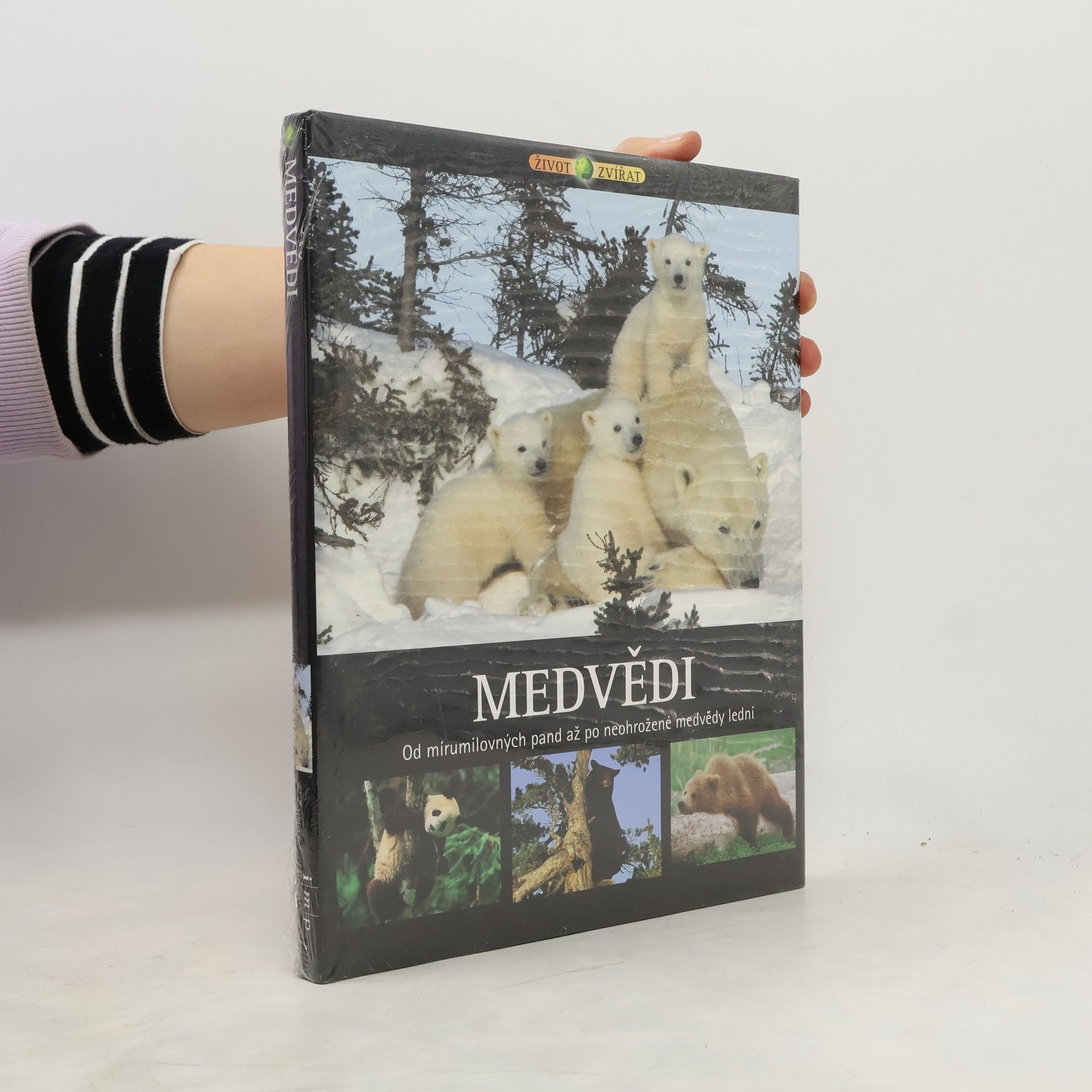 Hana Kendíková Medvědi