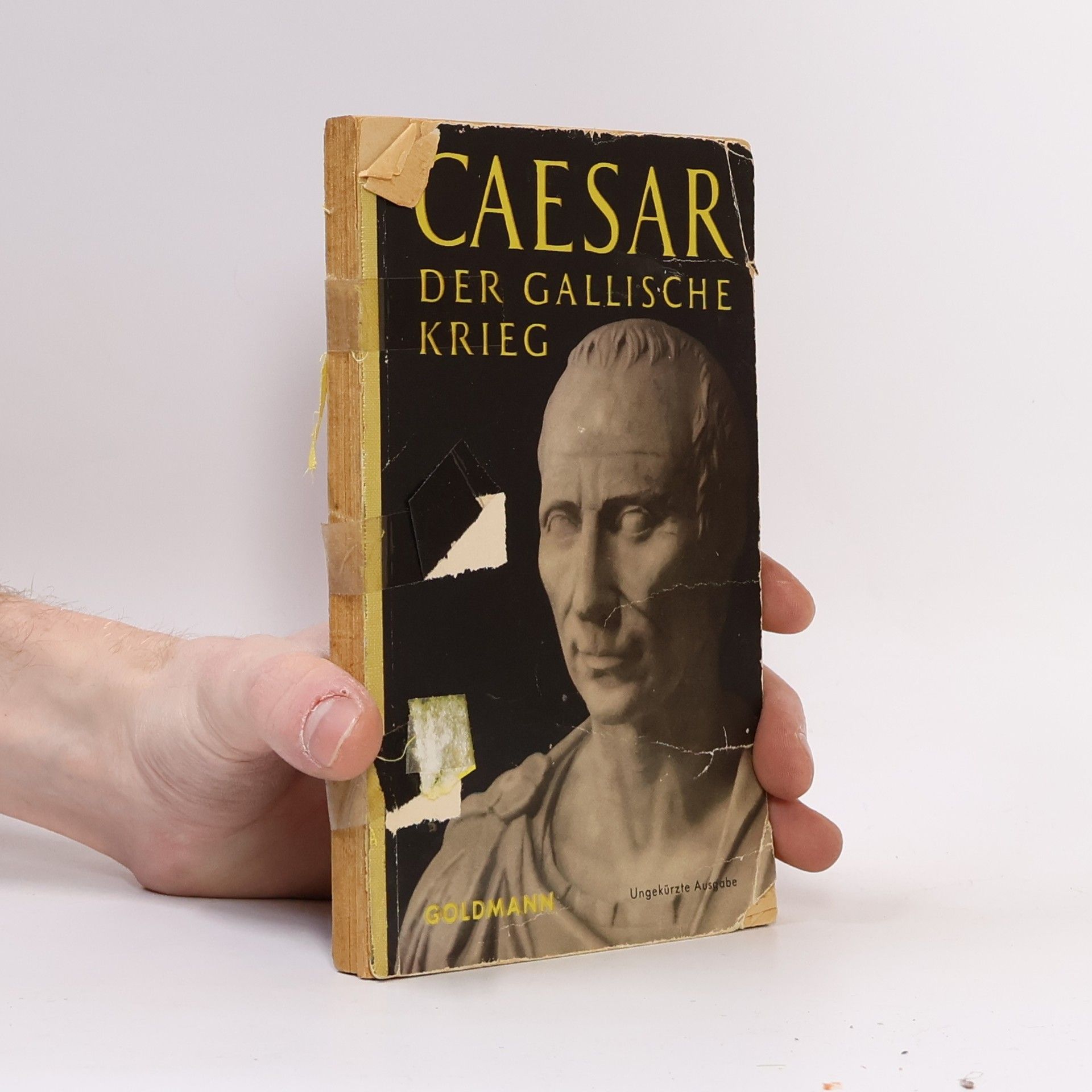 Auteurscollectief Caesar. Der Gallische Krieg