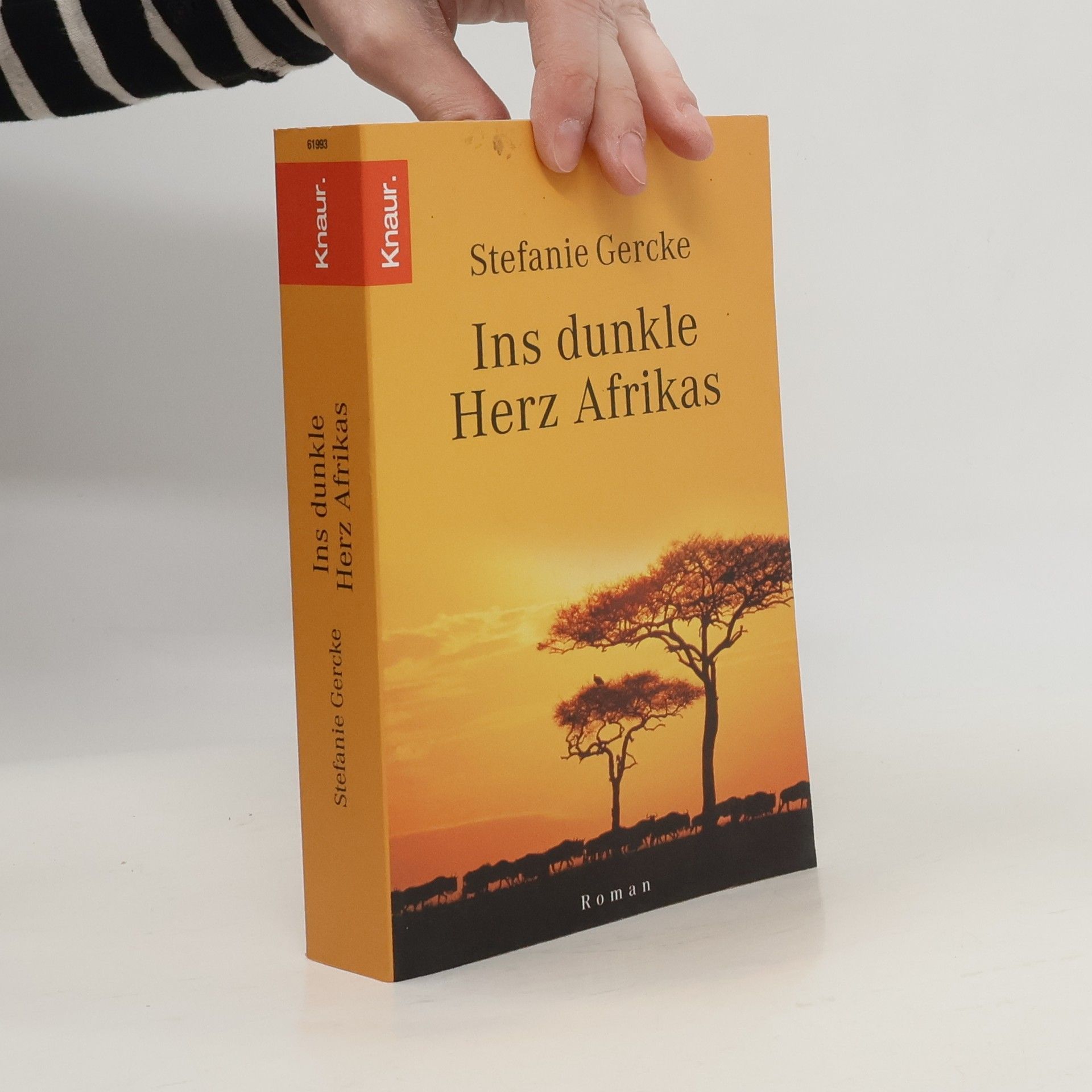 Stefanie Gercke Ins dunkle Herz Afrikas