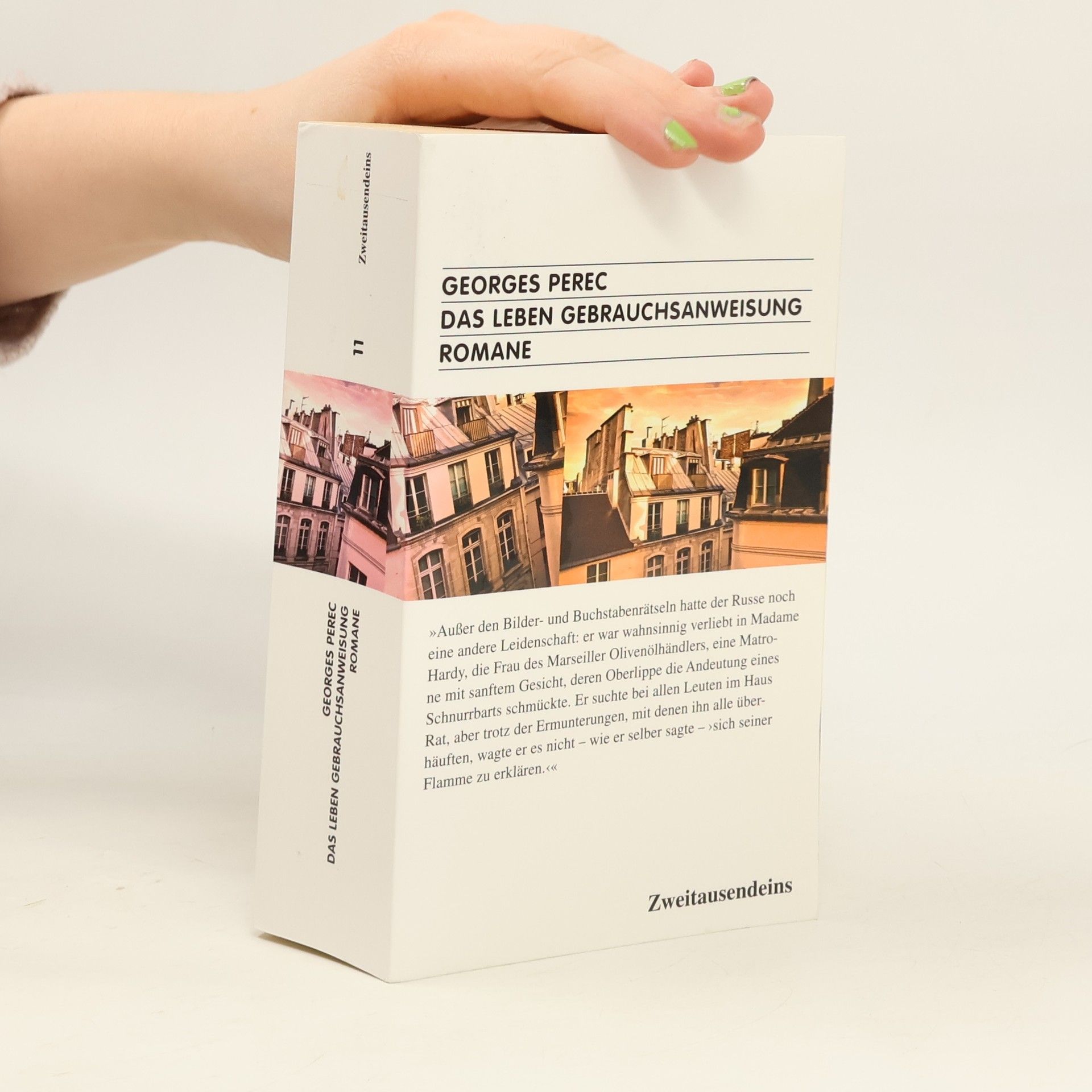 Das Leben Gebrauchsanweisung. Romane