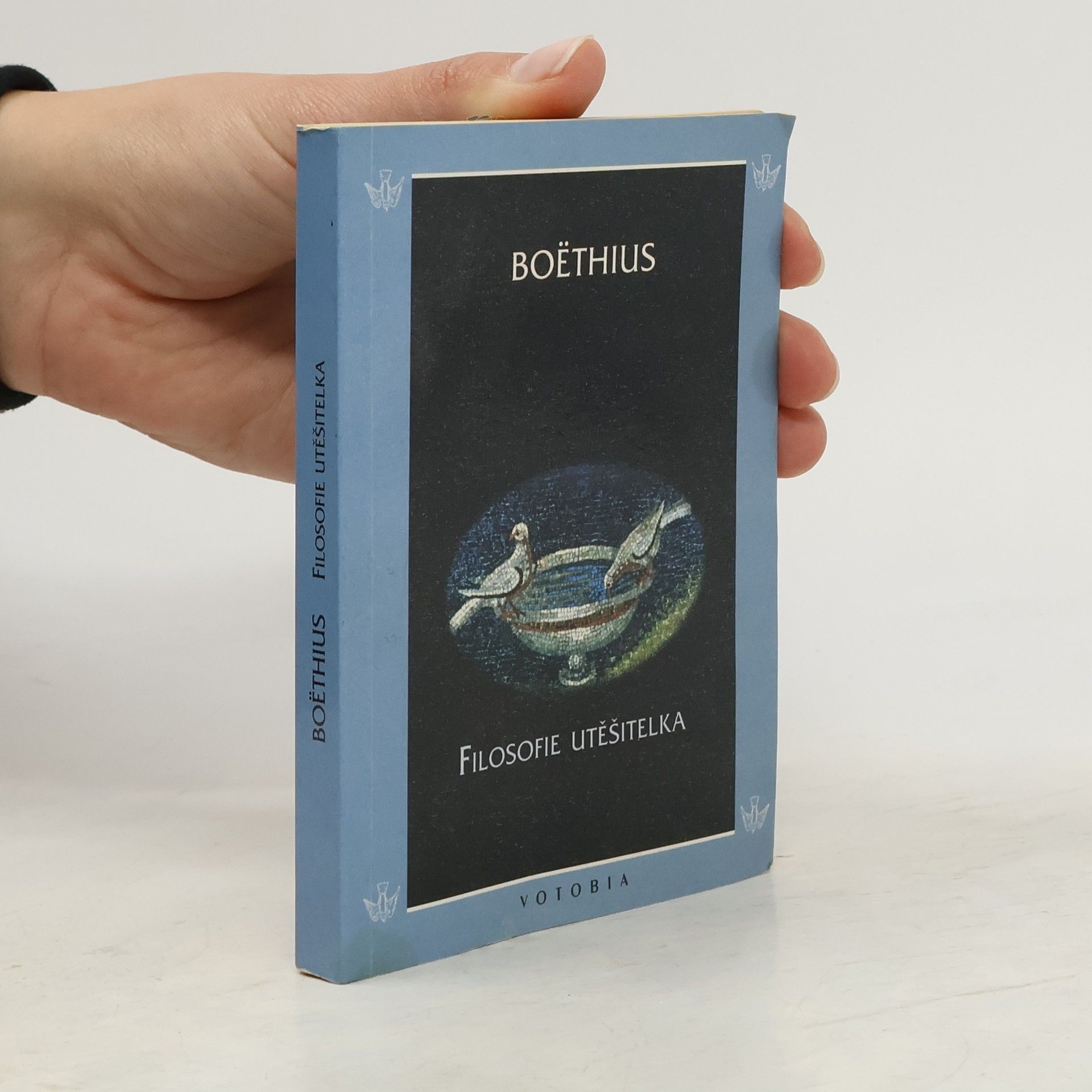 Filosofie utěšitelka